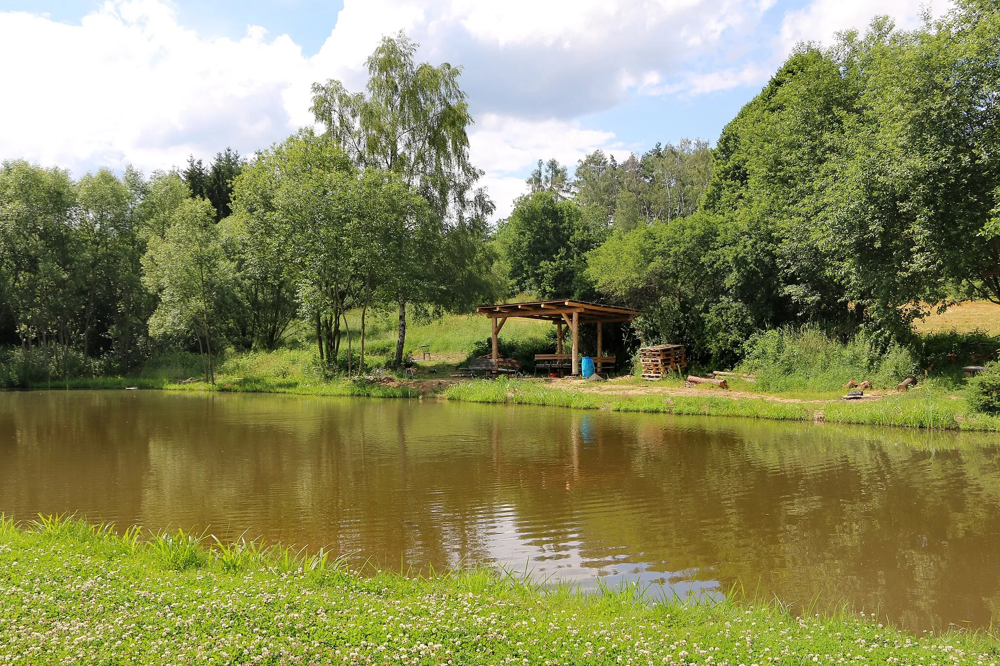 Photo showing: Small pond in Vílanec village, Czech Republic.