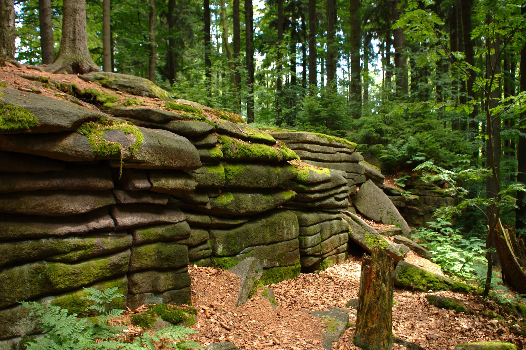 Photo showing: Natural monument Čertův Hrádek near the town of Nový Rychnov, Vysočina Region, CZ