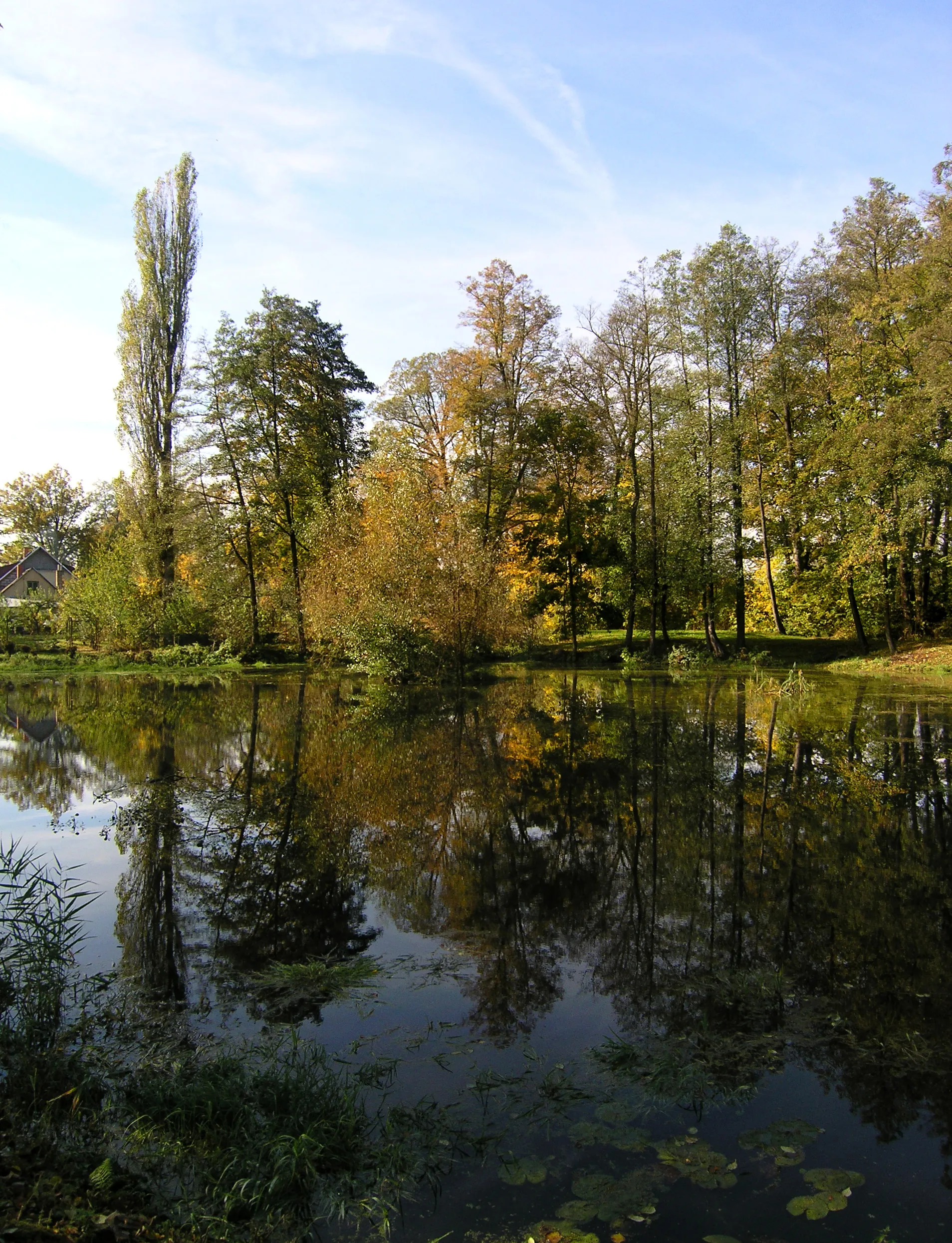 Photo showing: Pond in Plandry village, Czech Republic