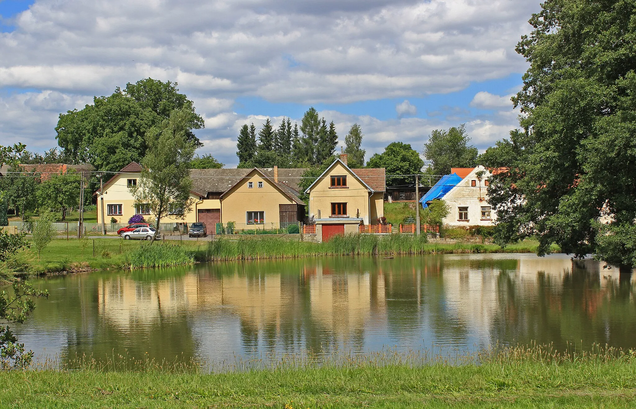 Photo showing: East pond in Pelec, part of Častrov, Czech Republic.