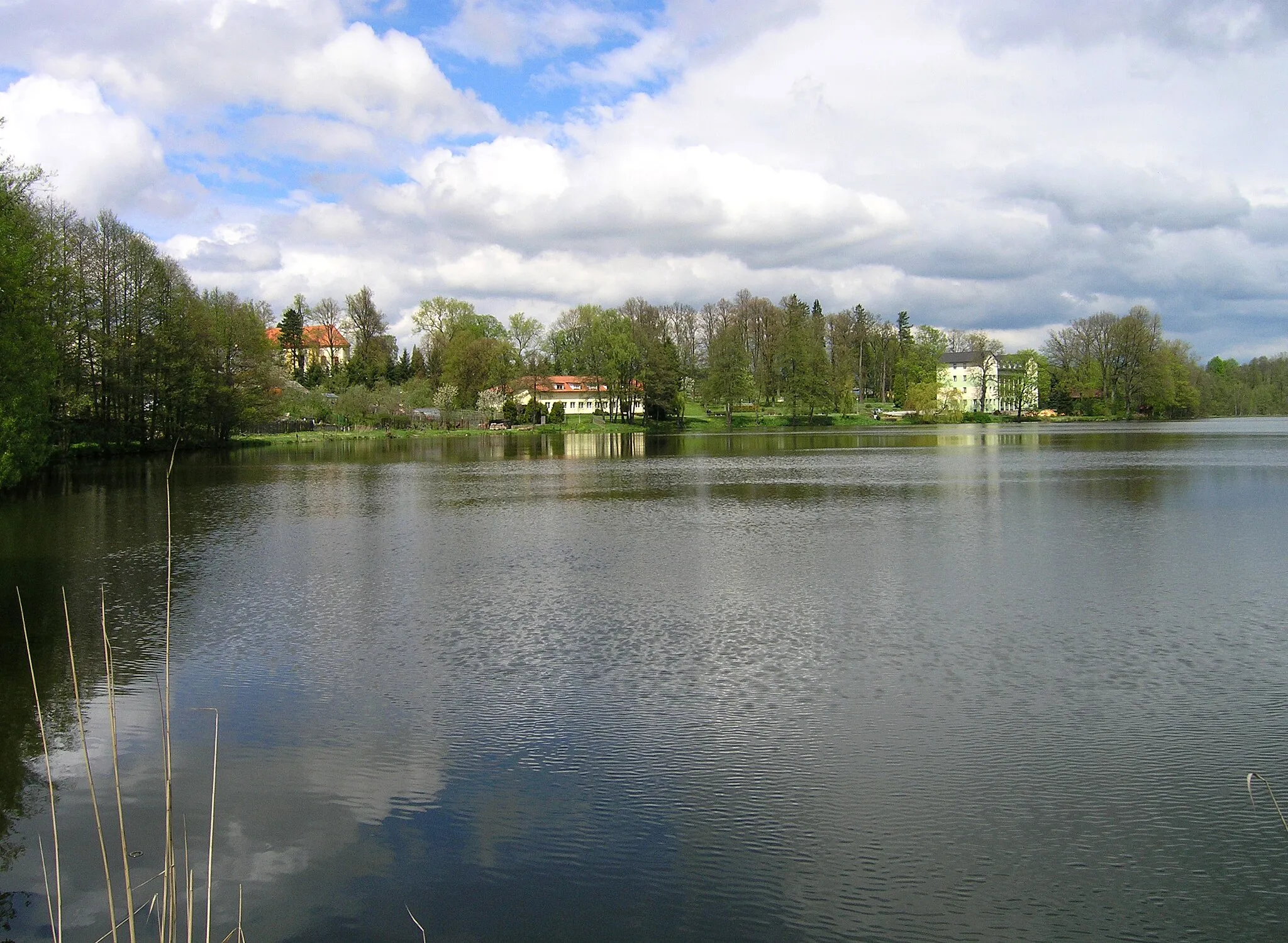 Photo showing: Tovární Pond in Počátky, Czech Republic