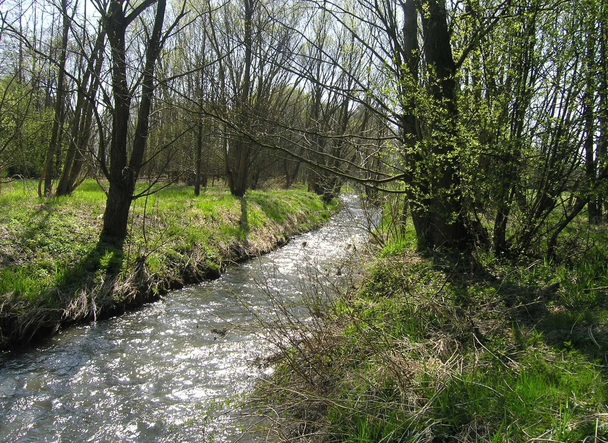 Photo showing: Pstružný Creek in Kamenná trouba natural reserve by Lipnice nad Sázavou, Czech Republic
