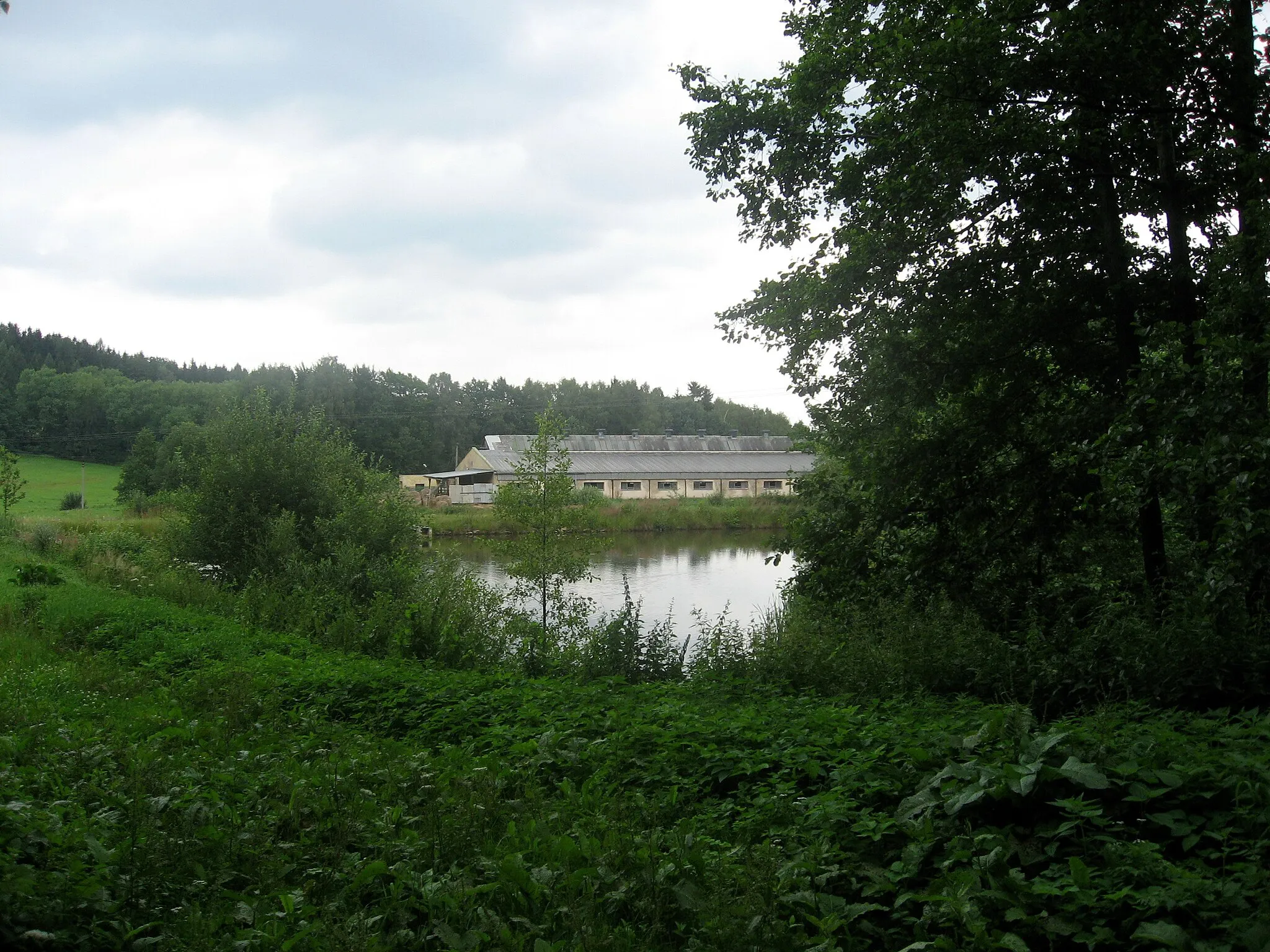 Photo showing: Plačkov, rybník před vsí směrem od Vilémova