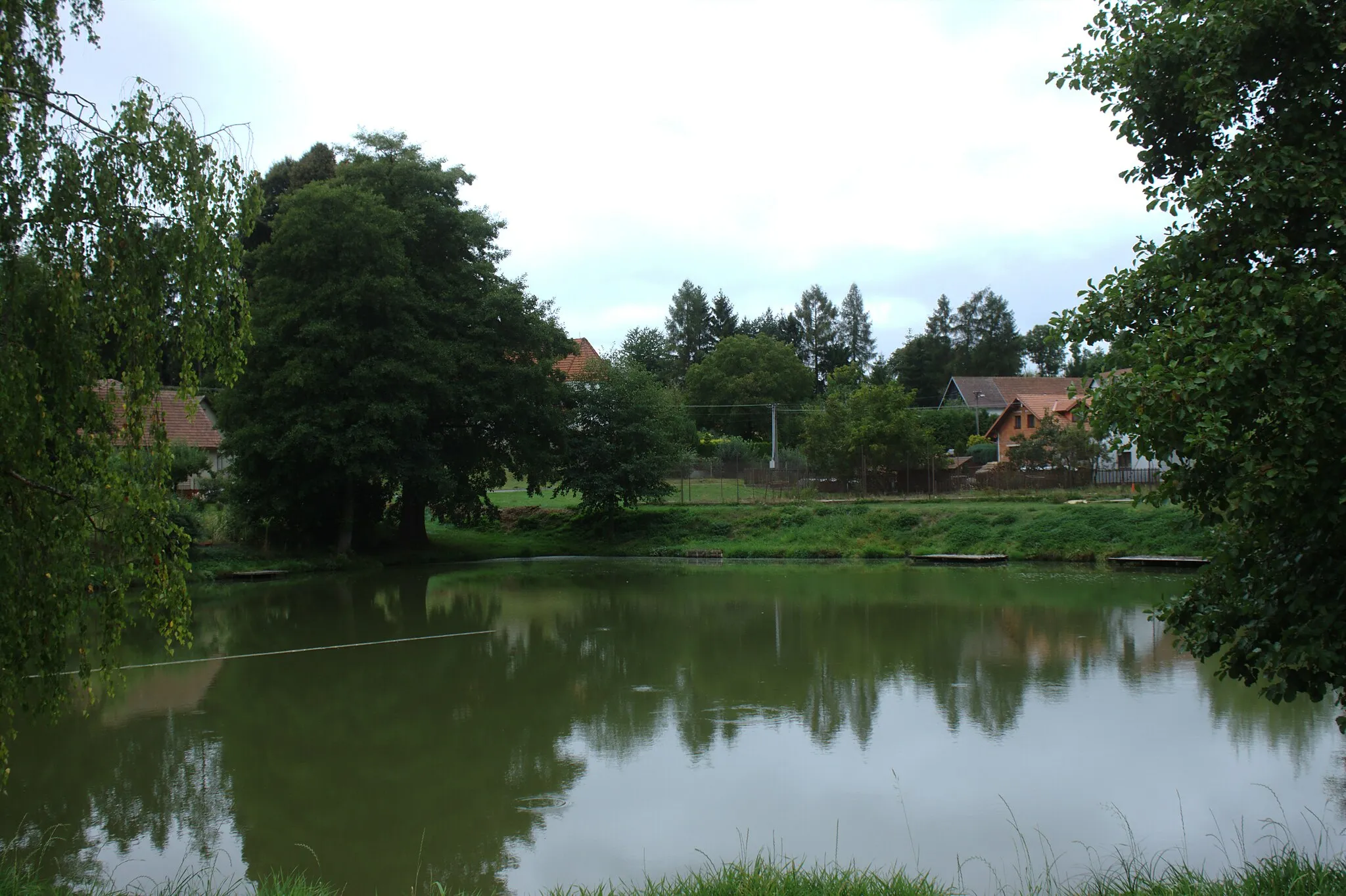 Photo showing: A pond in the Buřenice village seen from the dam, Vysočina Region, CZ