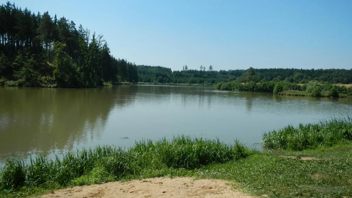 Photo showing: Rybník ve Valči, okres Třebíč