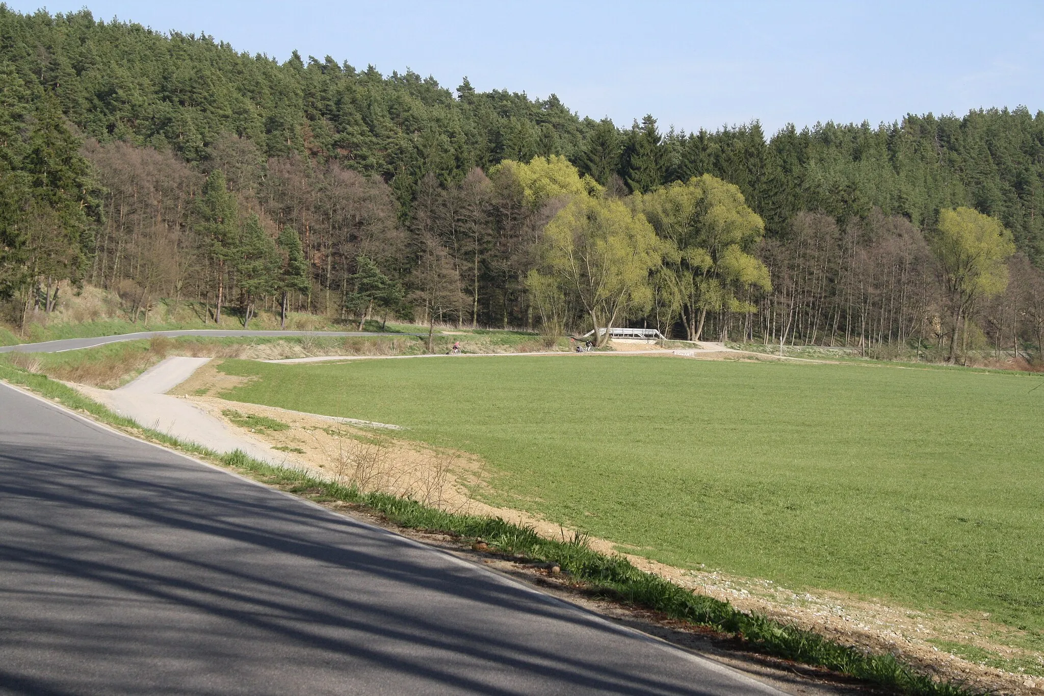 Photo showing: New cycleroute and forest near Třebíč.