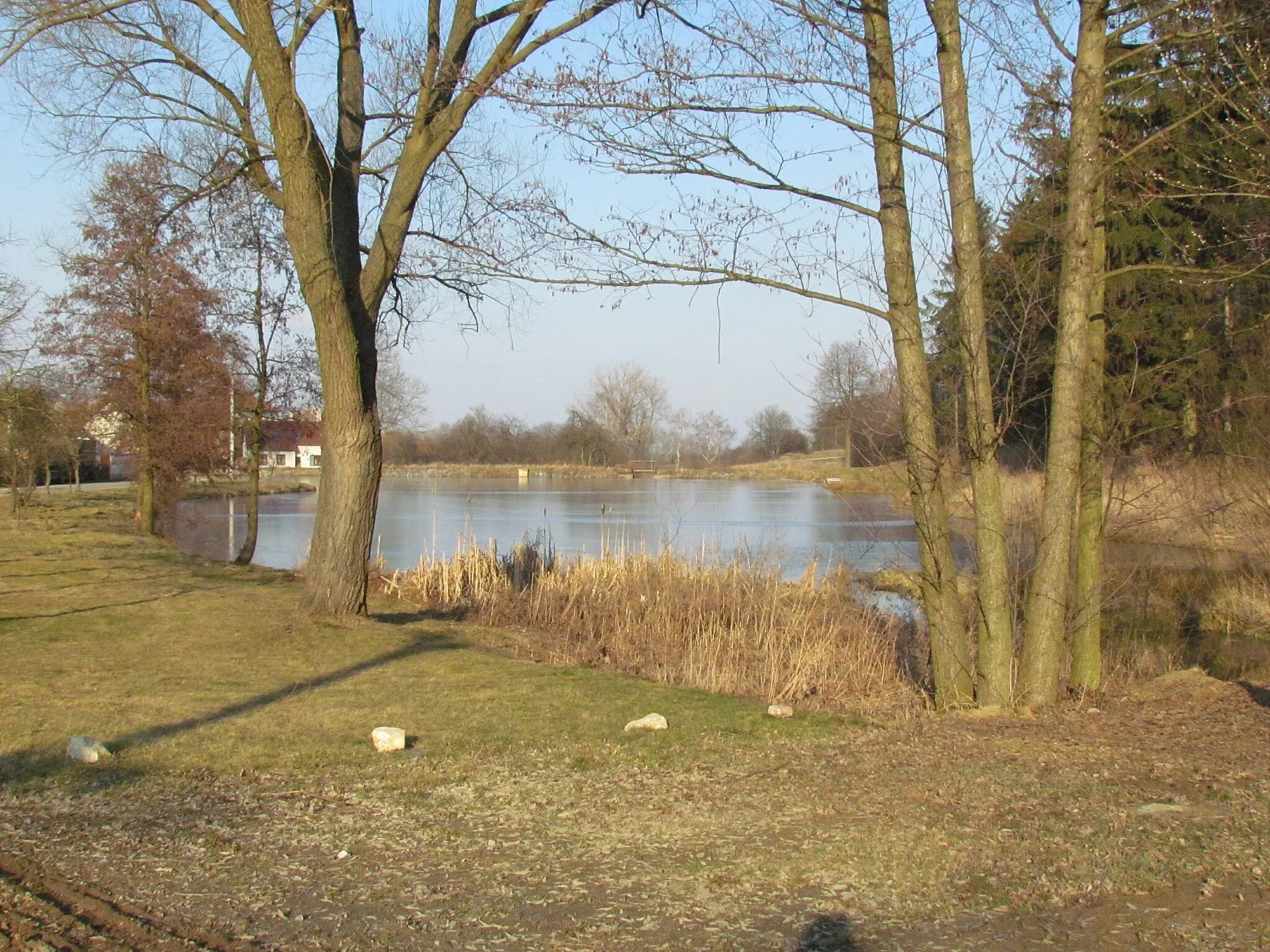 Photo showing: Návesní pond in Slavičky, Třebíč District.