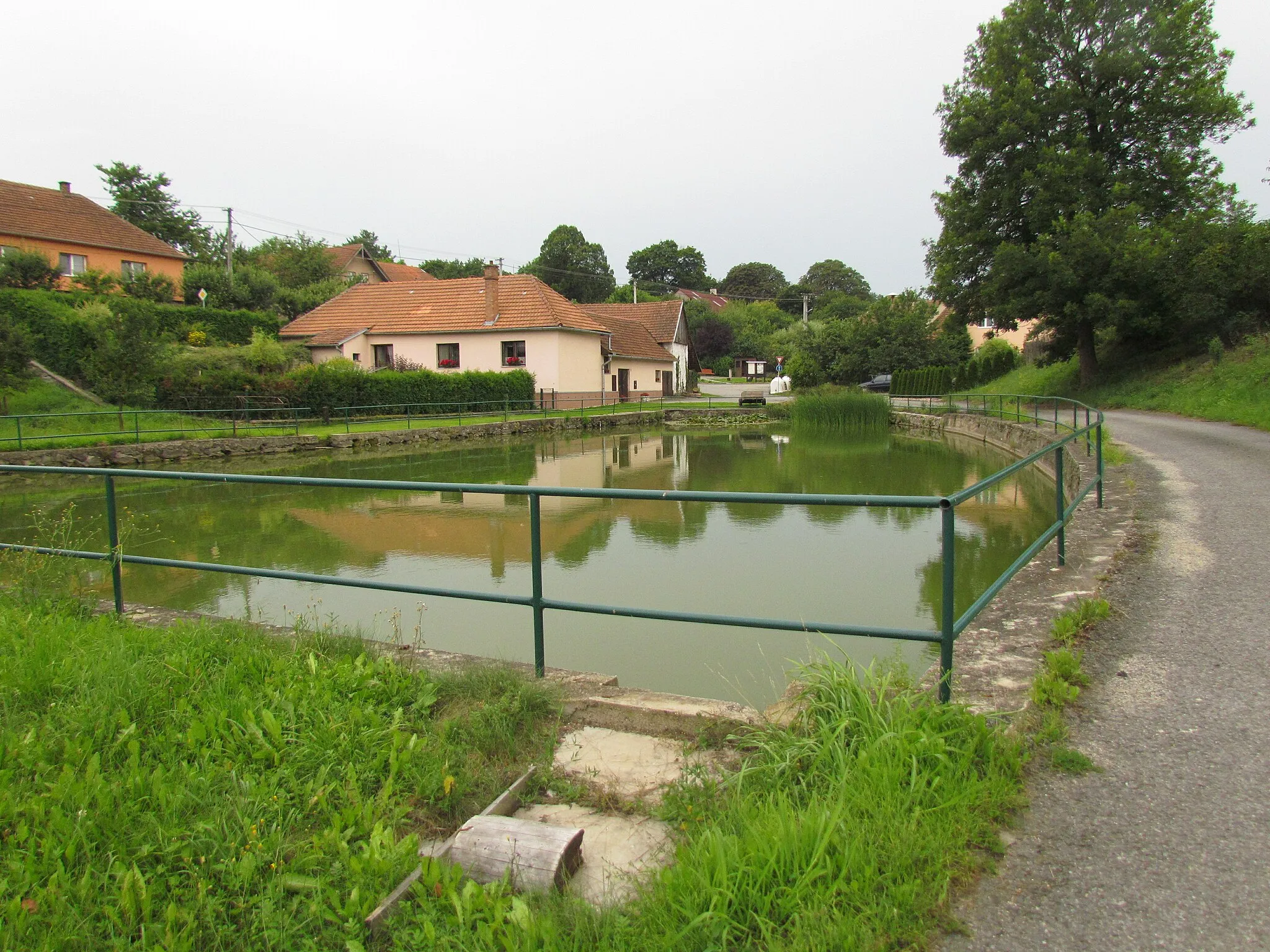 Photo showing: Village pond in Rohy, Třebíč District.