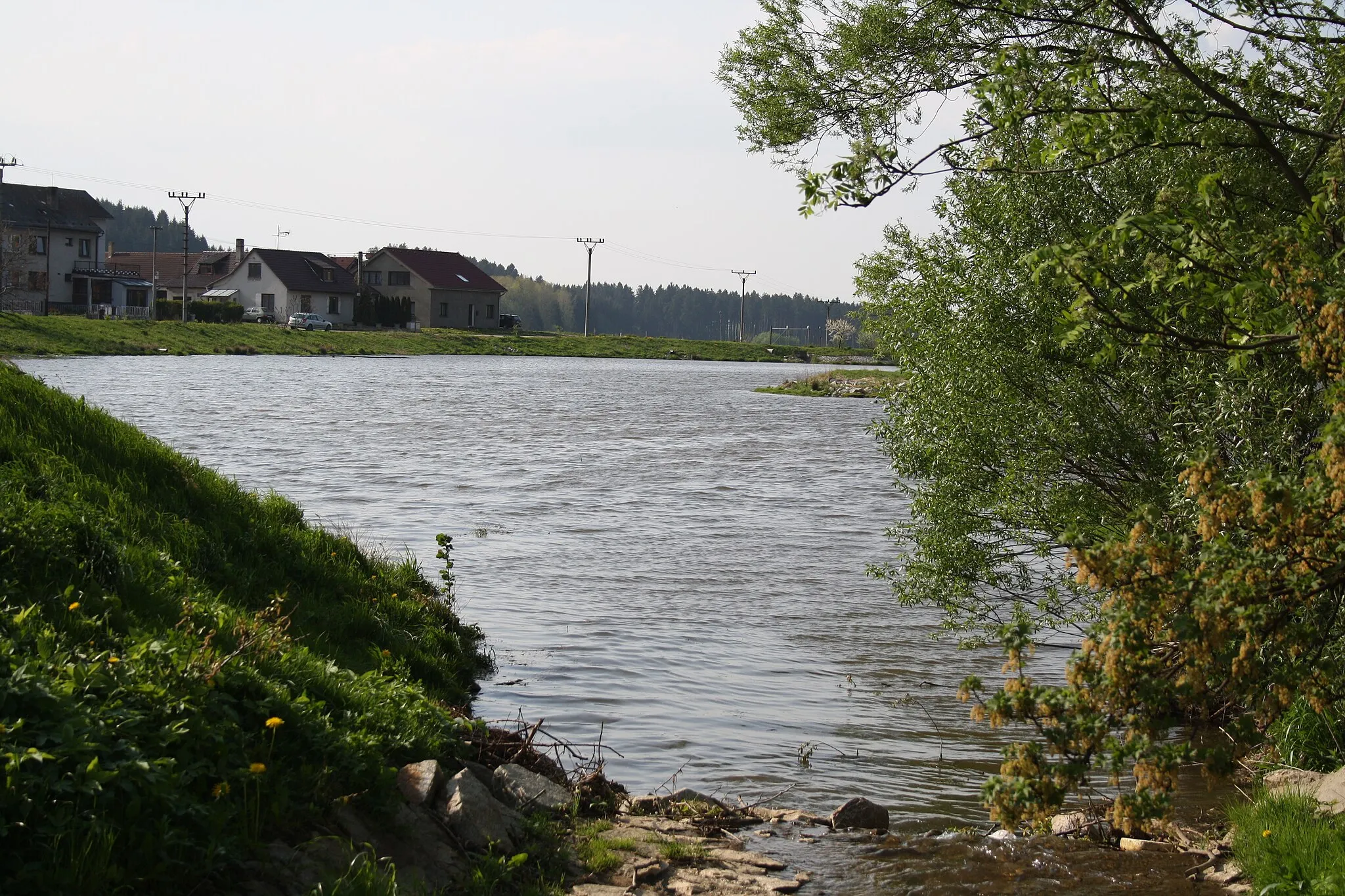 Photo showing: Pond Návesní rybník in Předín, Czech Republic.