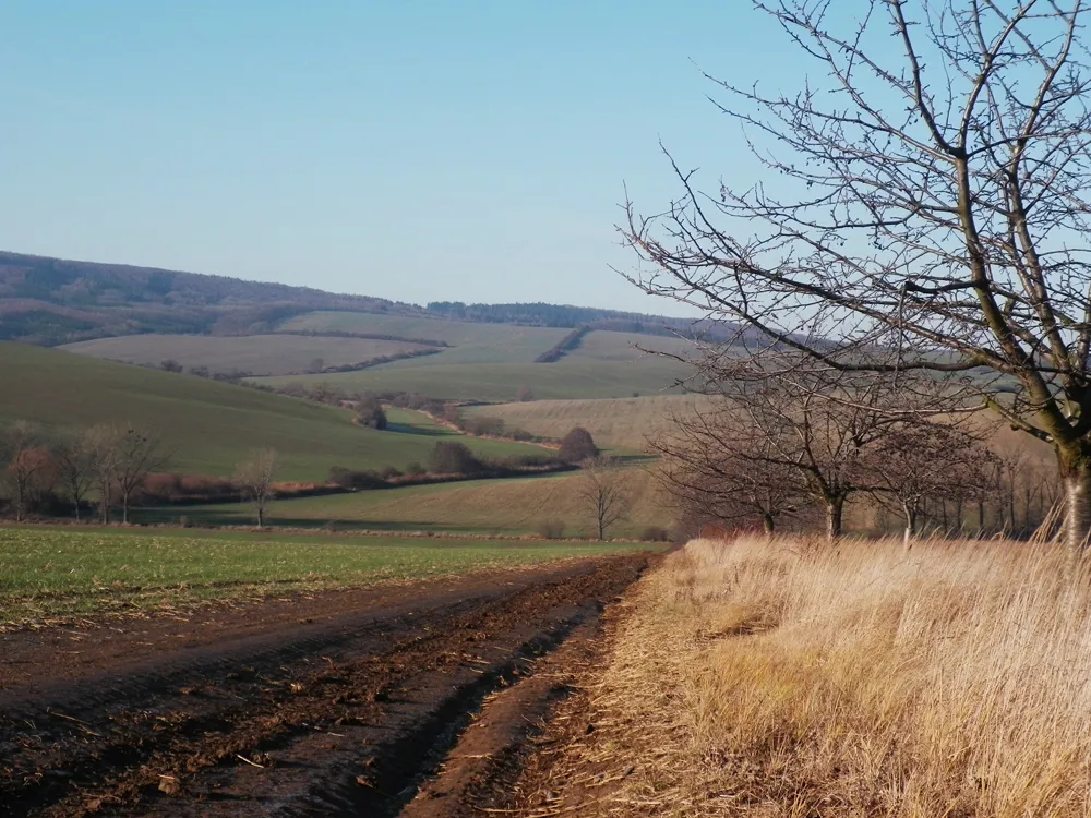 Photo showing: Landscape near Kunkovice, Zlin, Czech Republic