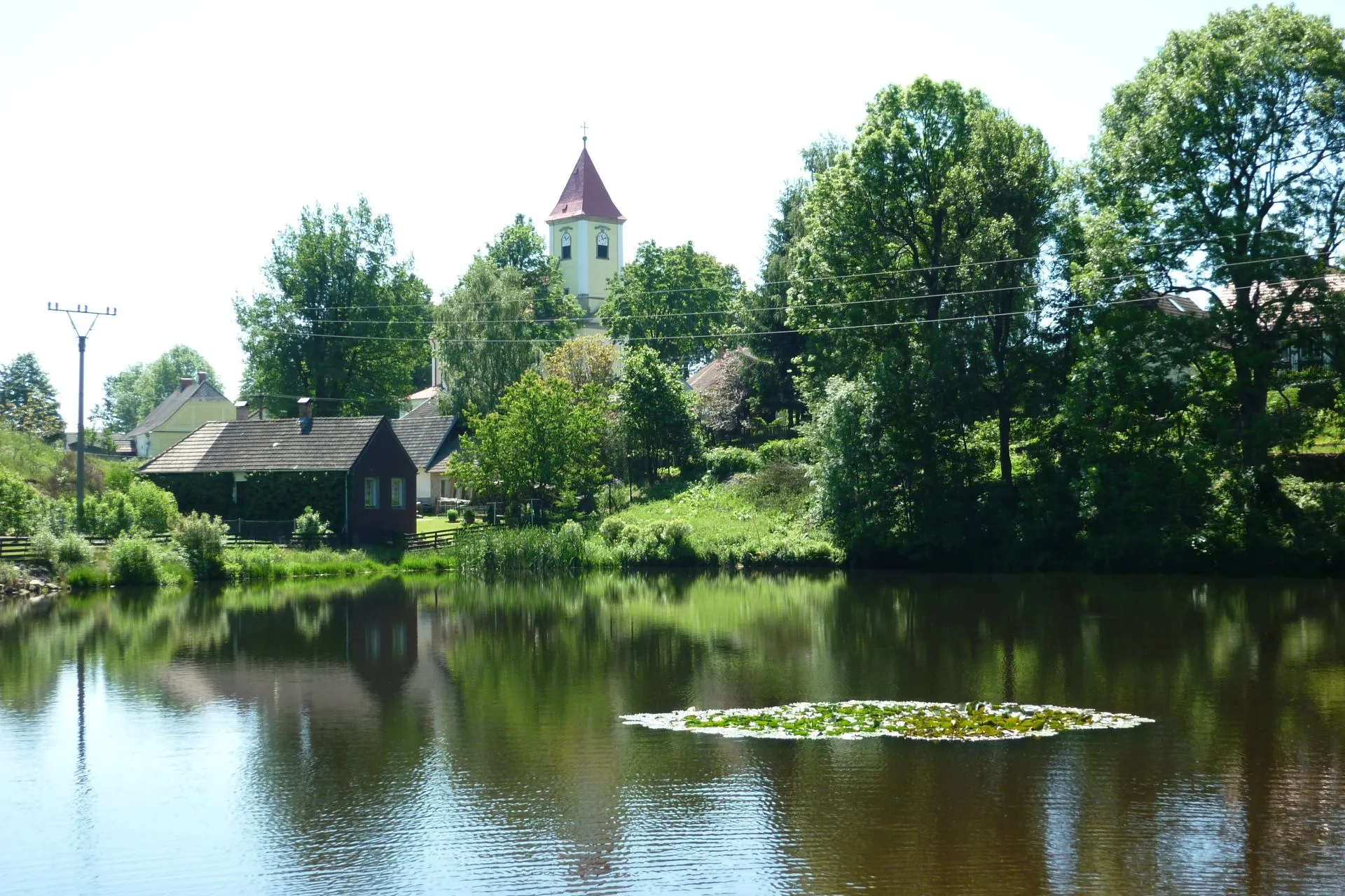 Photo showing: Matějovec - rybníček s lekníny