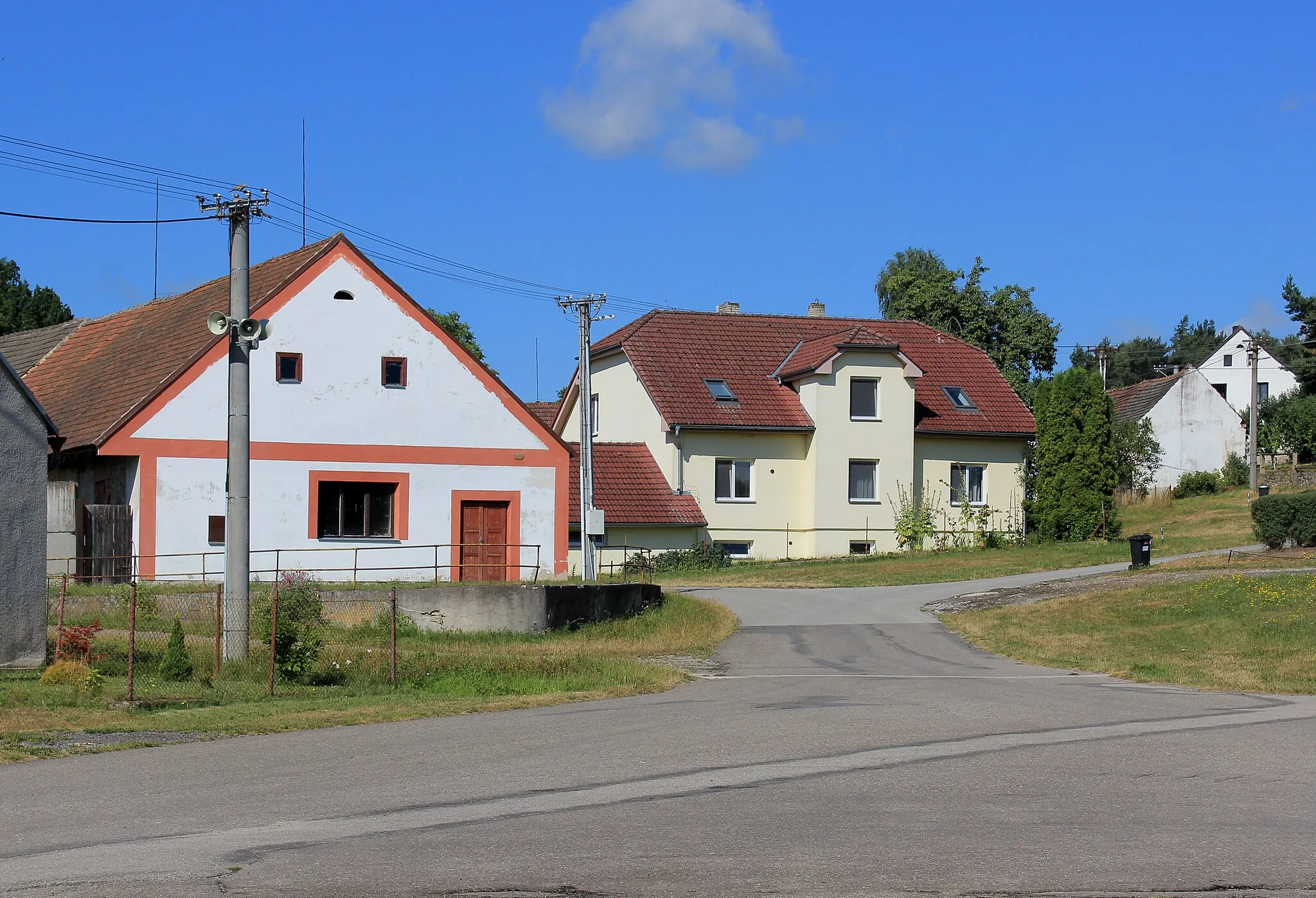 Photo showing: Common in Velký Ratmírov , Czech Republic.