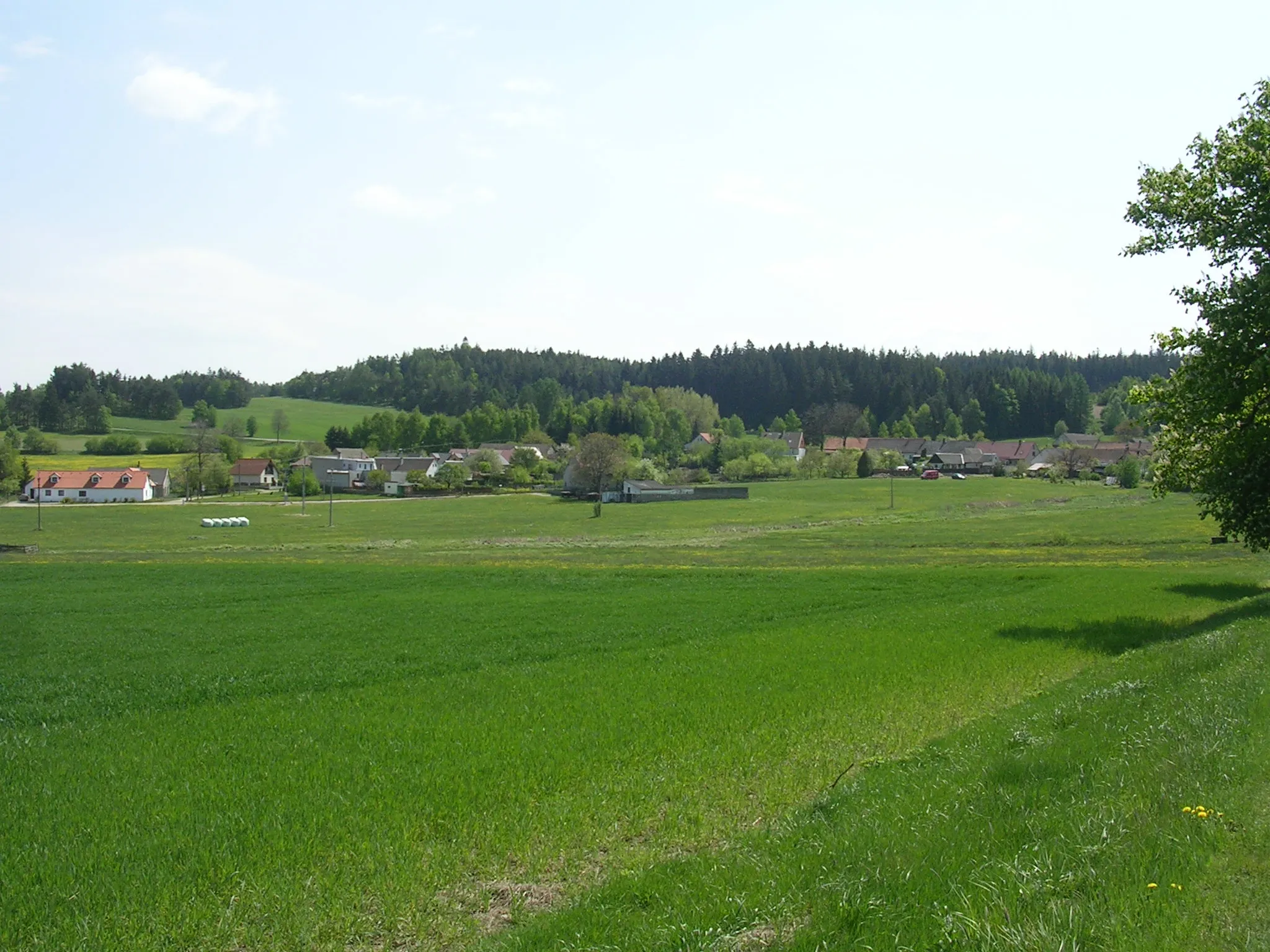 Photo showing: Studená-Olšany, South Bohemian Region, the Czech Republic.