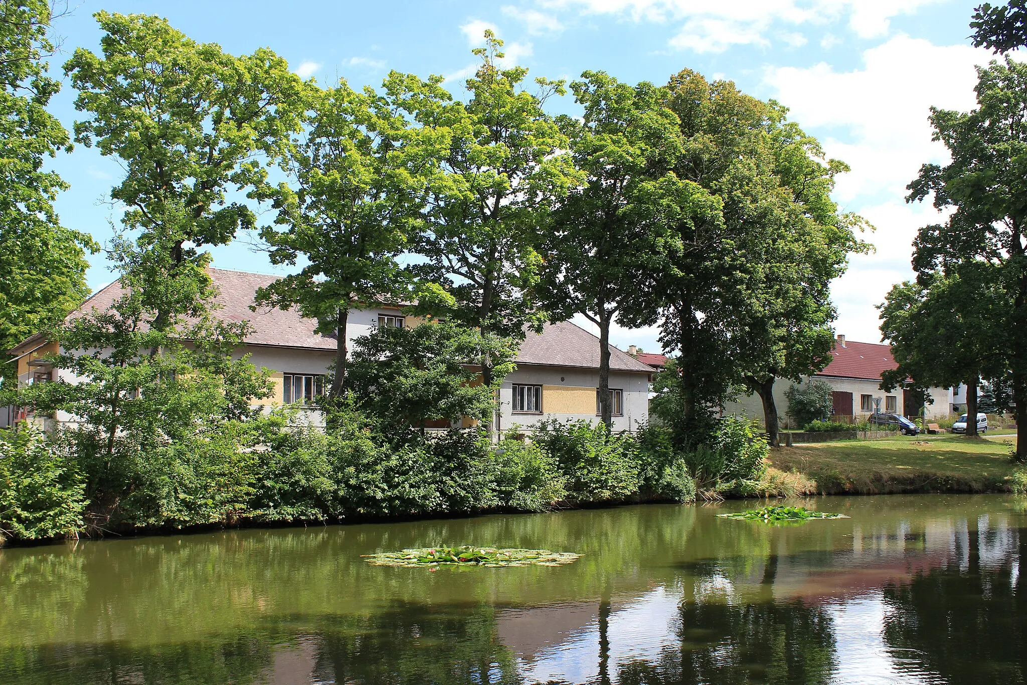 Photo showing: Common pond in Žděšov, part of Jarošov nad Nežárkou, Czech Republic.