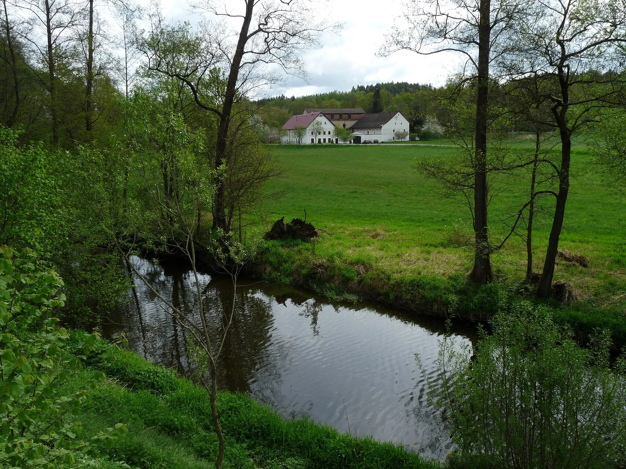 Photo showing: Hamerský Stream in the village of Dvoreček, Jindřichův Hradec District, South Bohemia, Czech Republic.