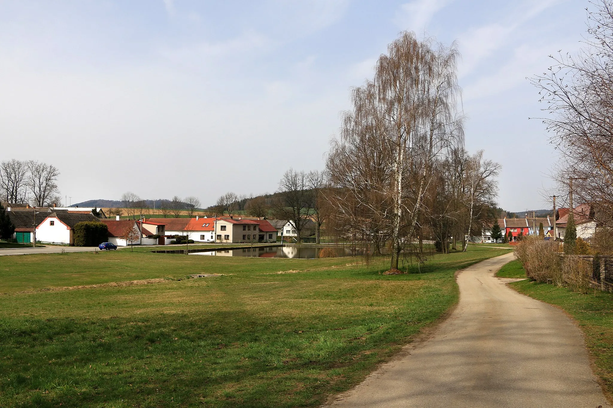 Photo showing: Common in Psárov, Czech Republic.