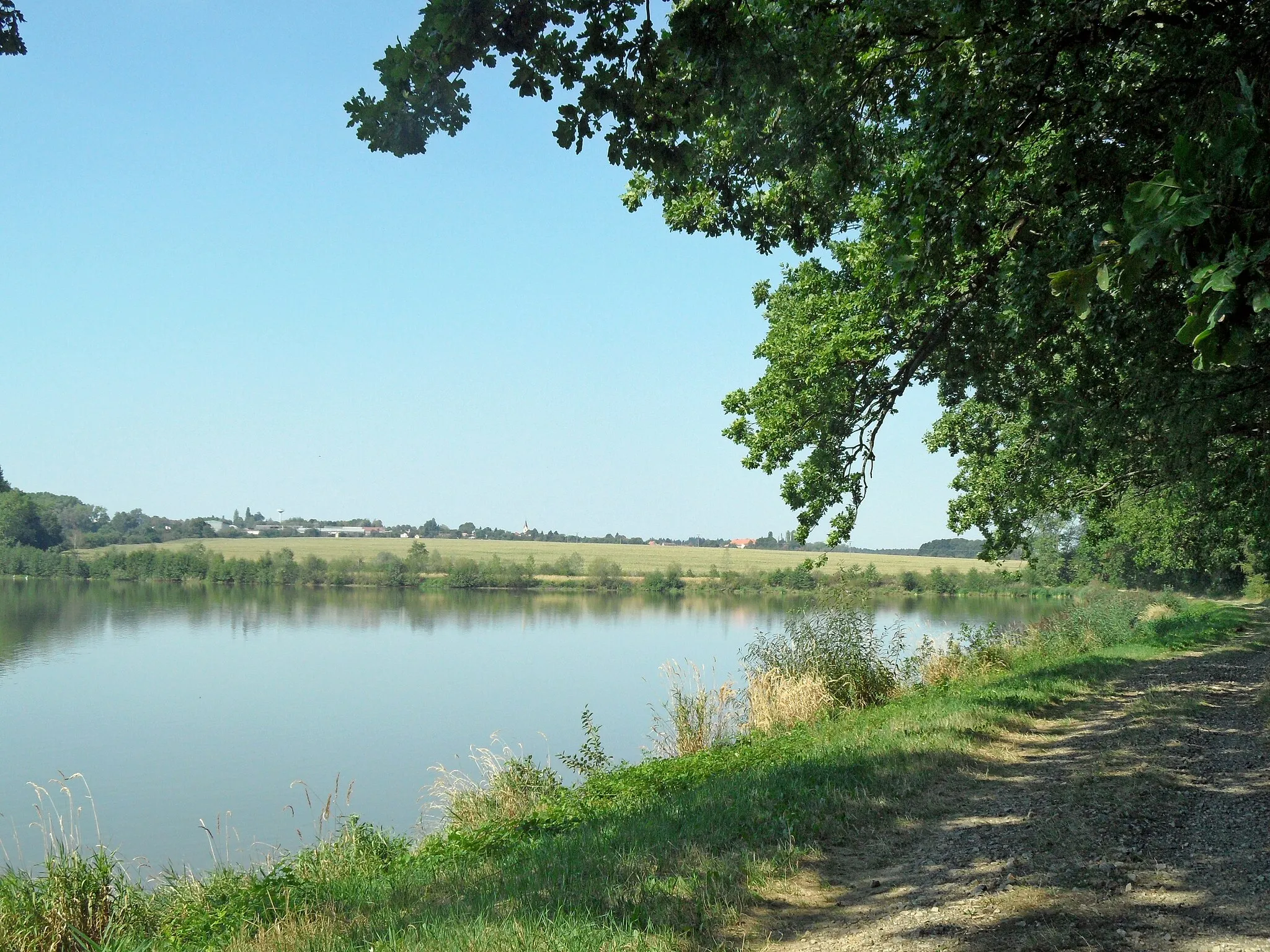 Photo showing: Zadní F. Pond Nedovedlo near West Edge of the Village: View to West (to Červené Janovice). Kutná Hora District, the Czech Republic.