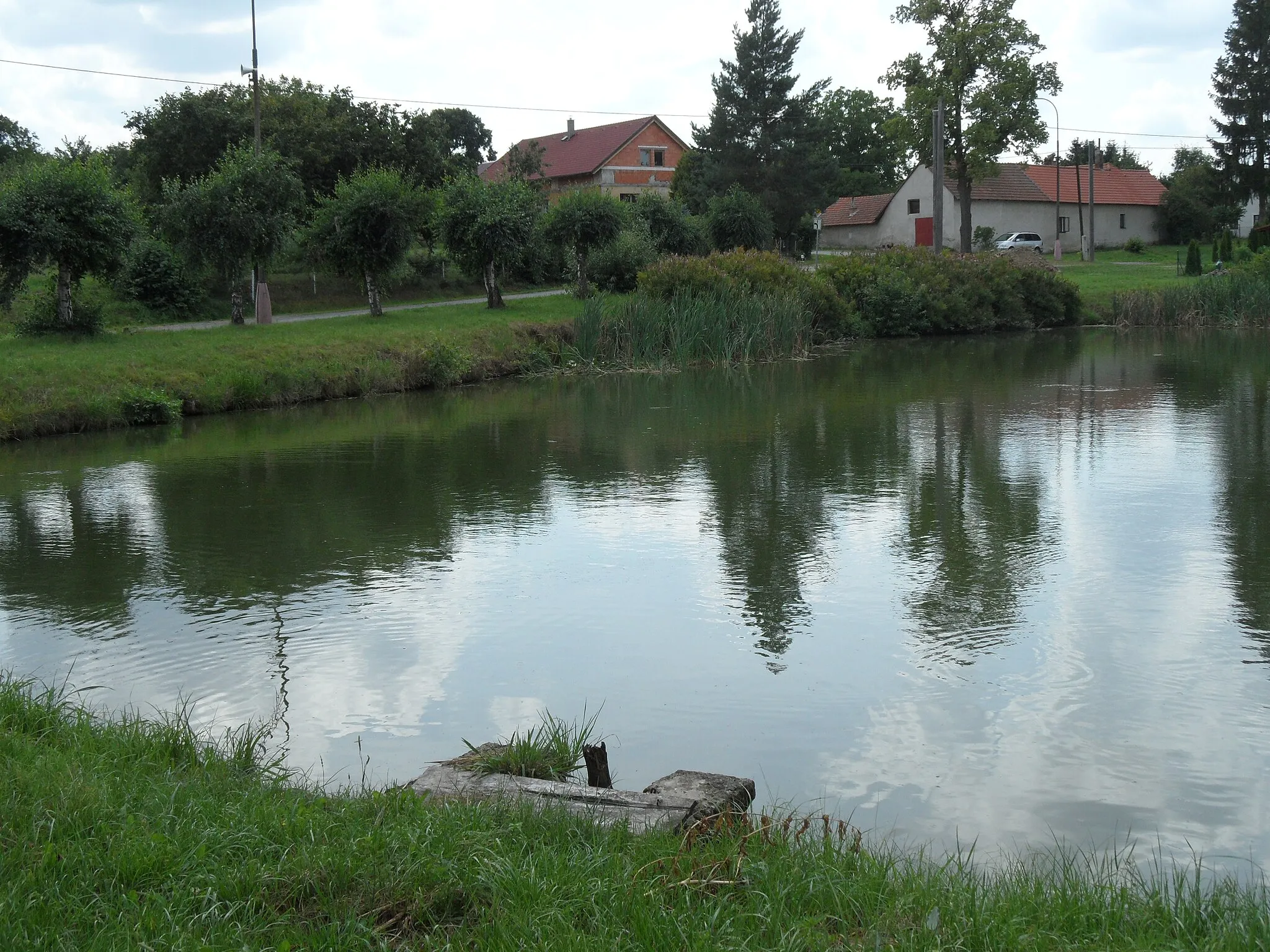 Photo showing: Zdeslavice (Chlístovice) D. Pond (near Road, East Side), Kutná Hora District, the Czech Republic.