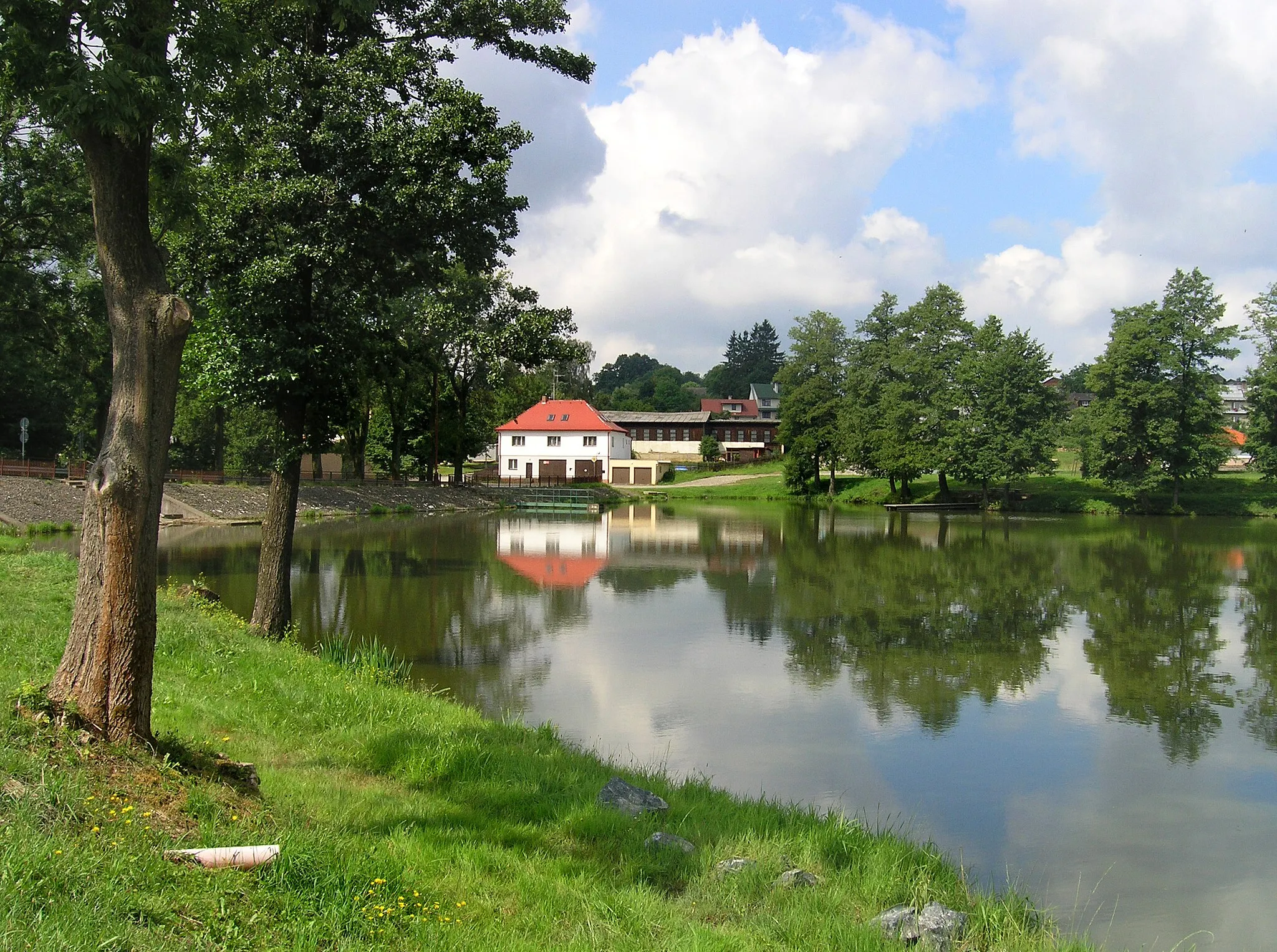Photo showing: Pilský Pond in Bohdaneč, Czech Republic