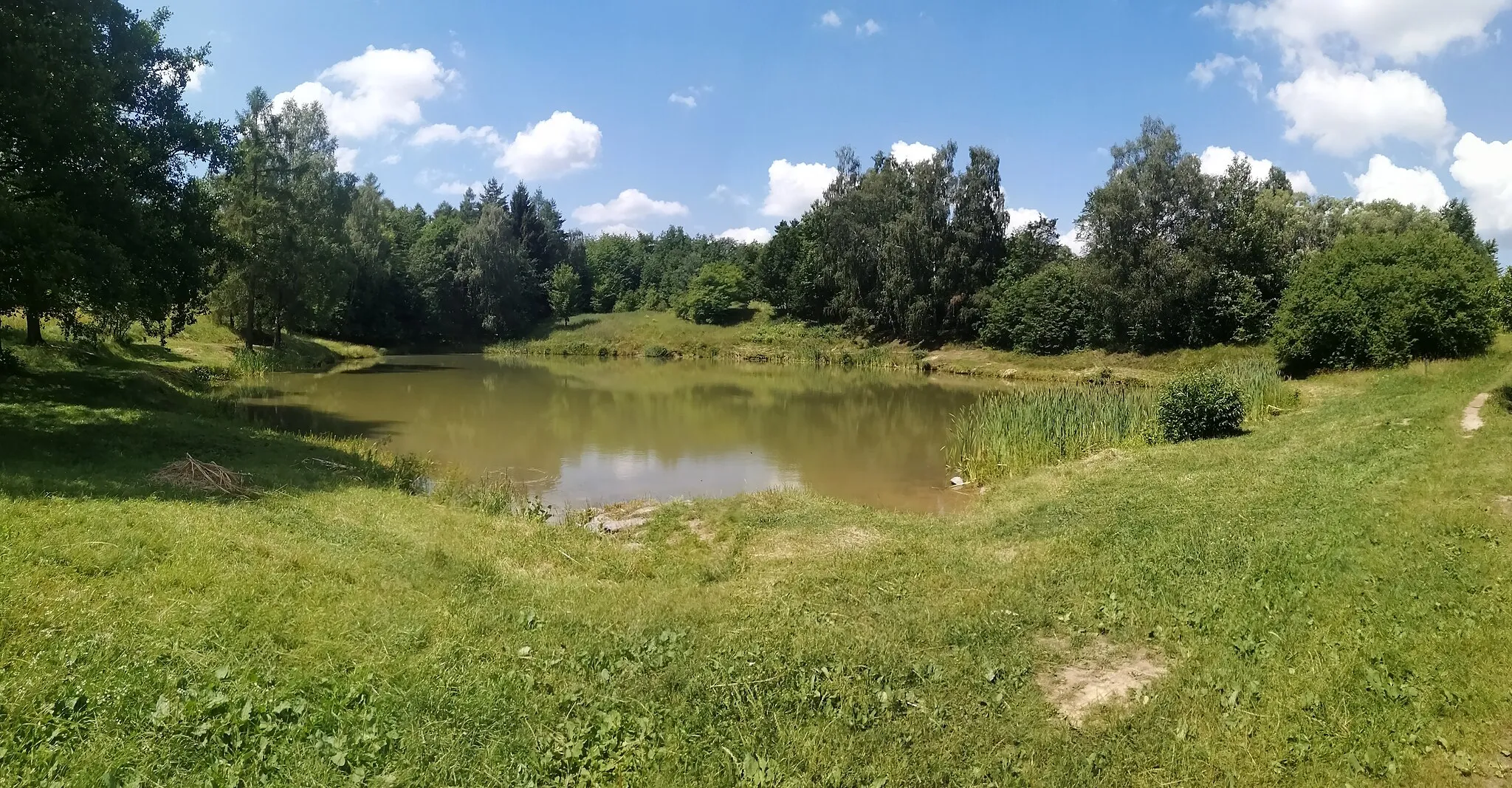 Photo showing: Šístý, jeden z Rudickým rybníčků