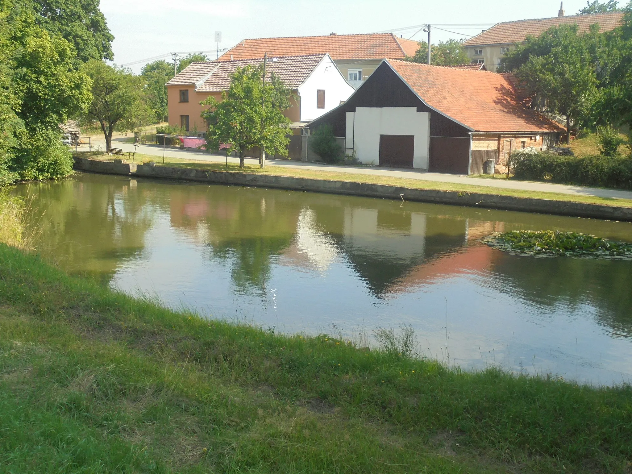 Photo showing: Rybník na návsi v Kulířově