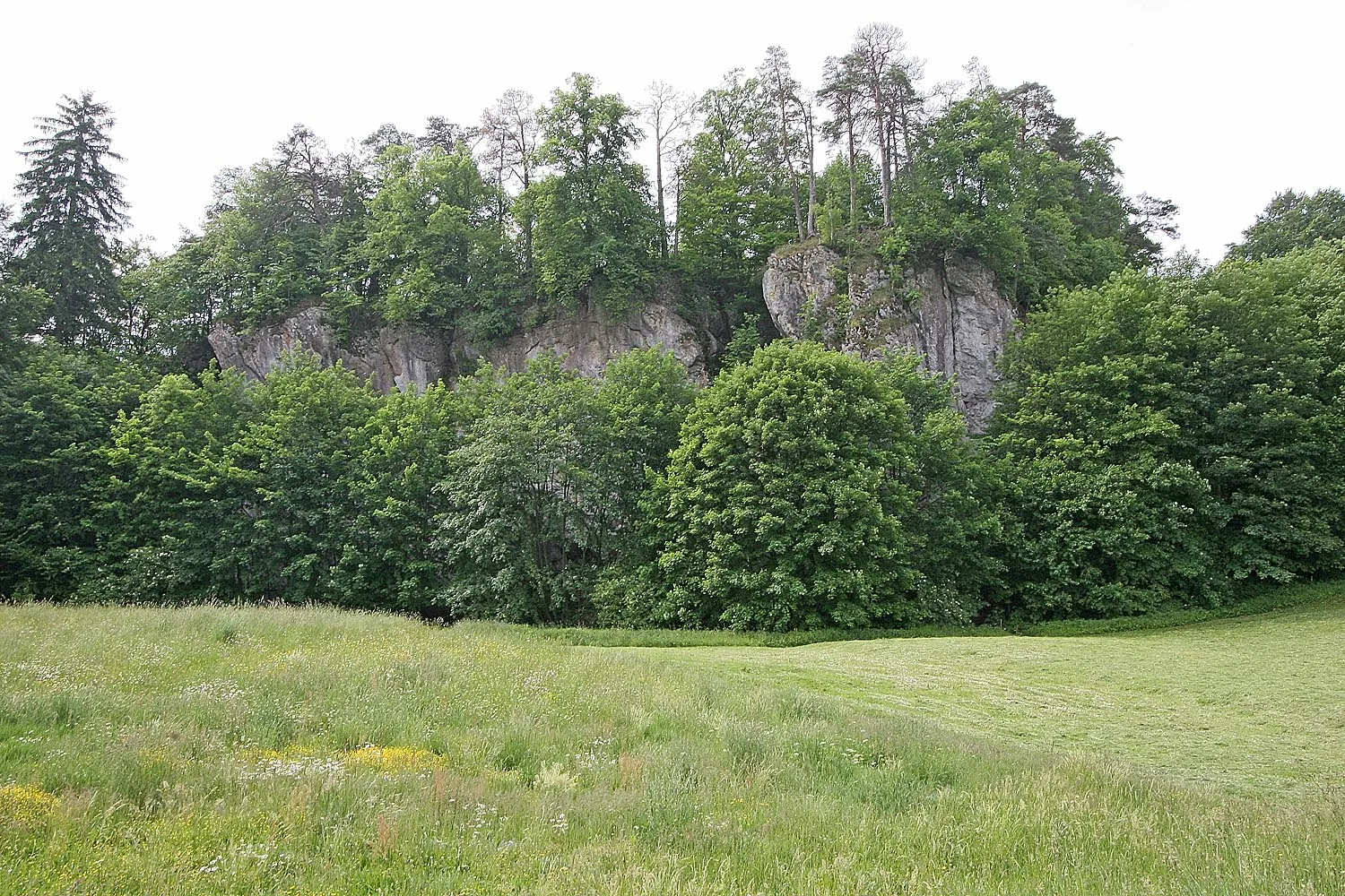 Photo showing: skála se zříceninou hradu Holštejn v Moravském krasu