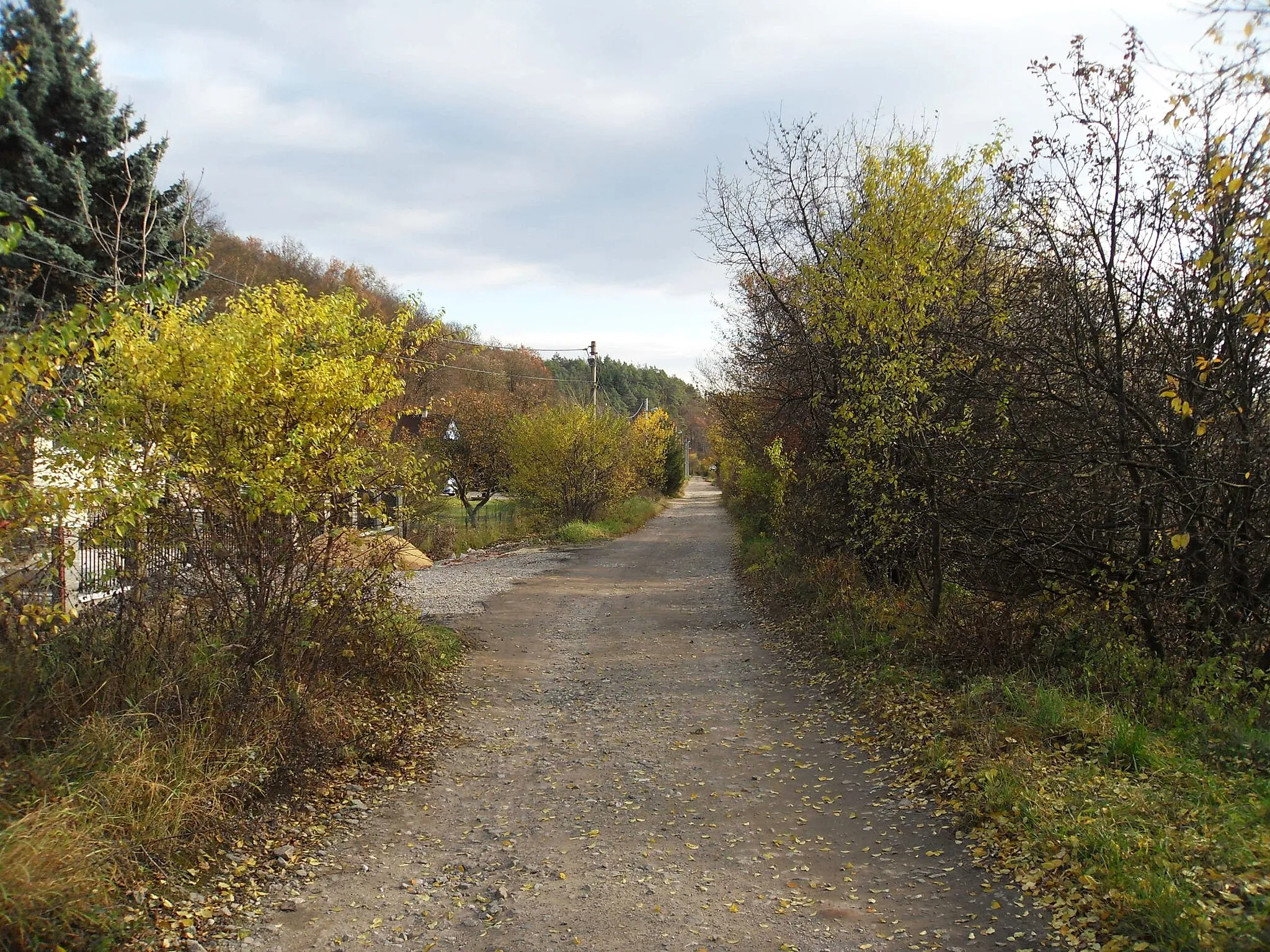 Photo showing: Former railway line Brno - Tišnov, Lelekovice, Brno-venkov District, Czech Republic