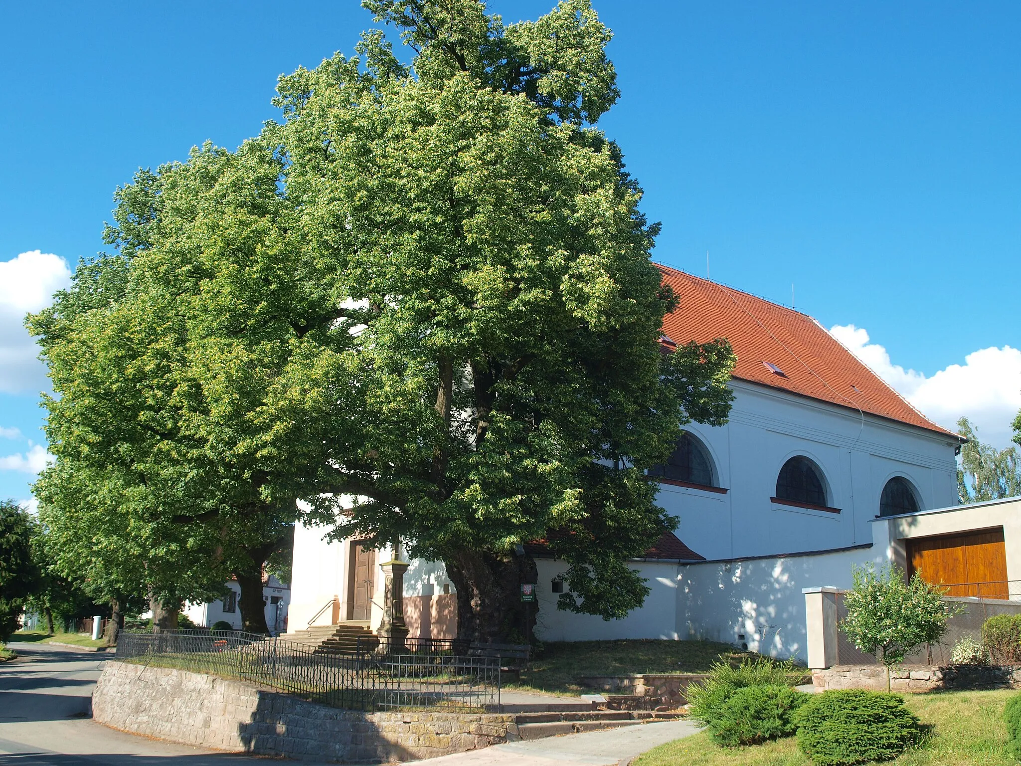 Photo showing: Chráněné lípy před kostelem sv. Petra a Pavla v Uníně
