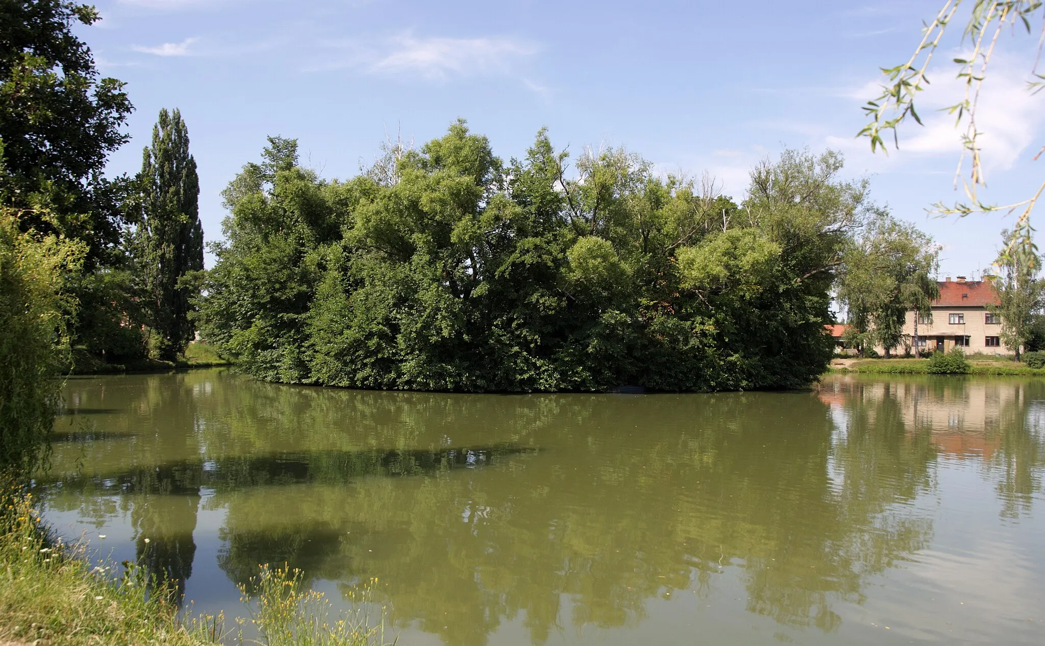 Photo showing: Sokolnice - rybník s ostrovem.