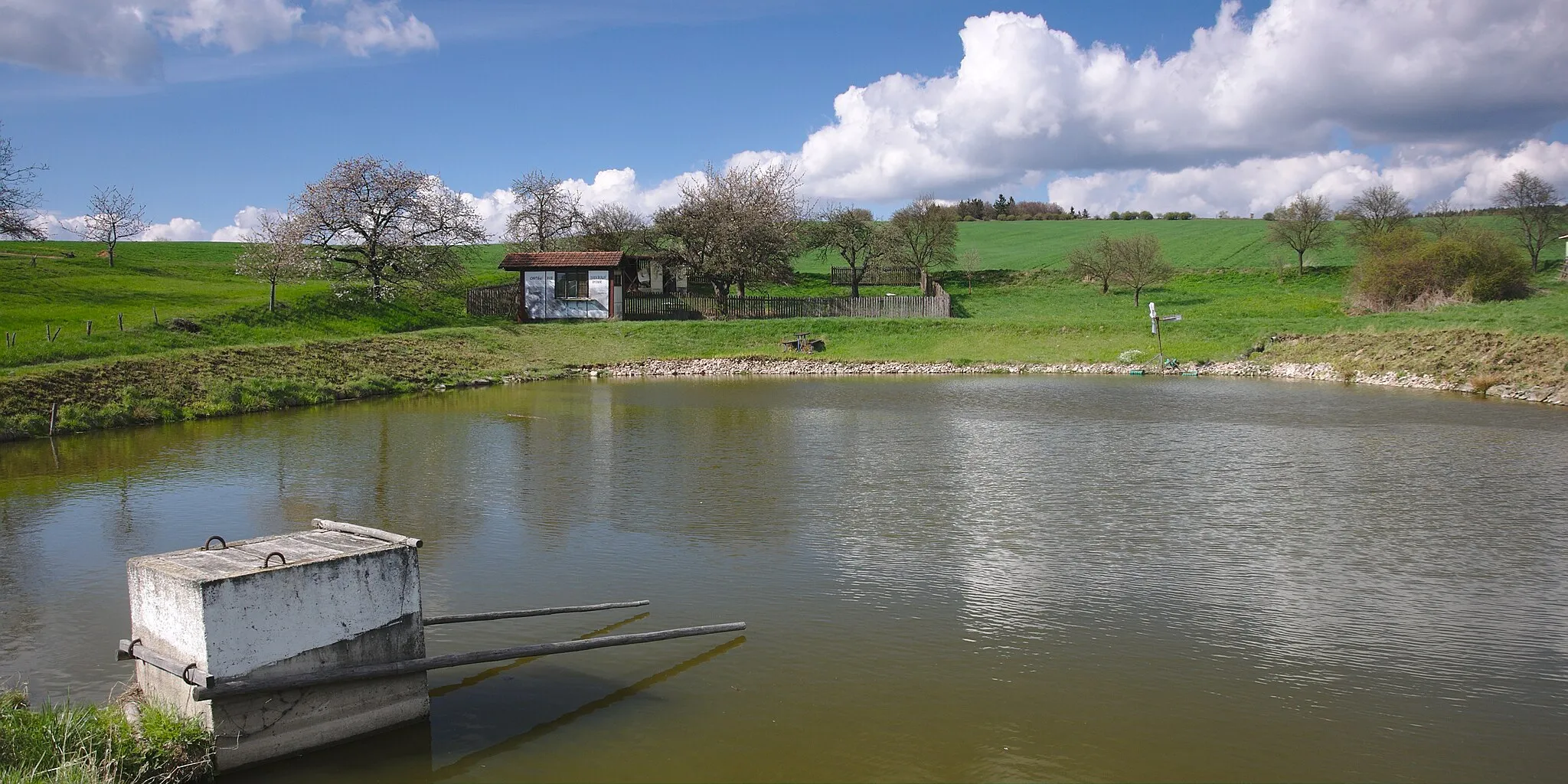 Photo showing: Rybník severně od obce, Rašov, okres Brno-venkov