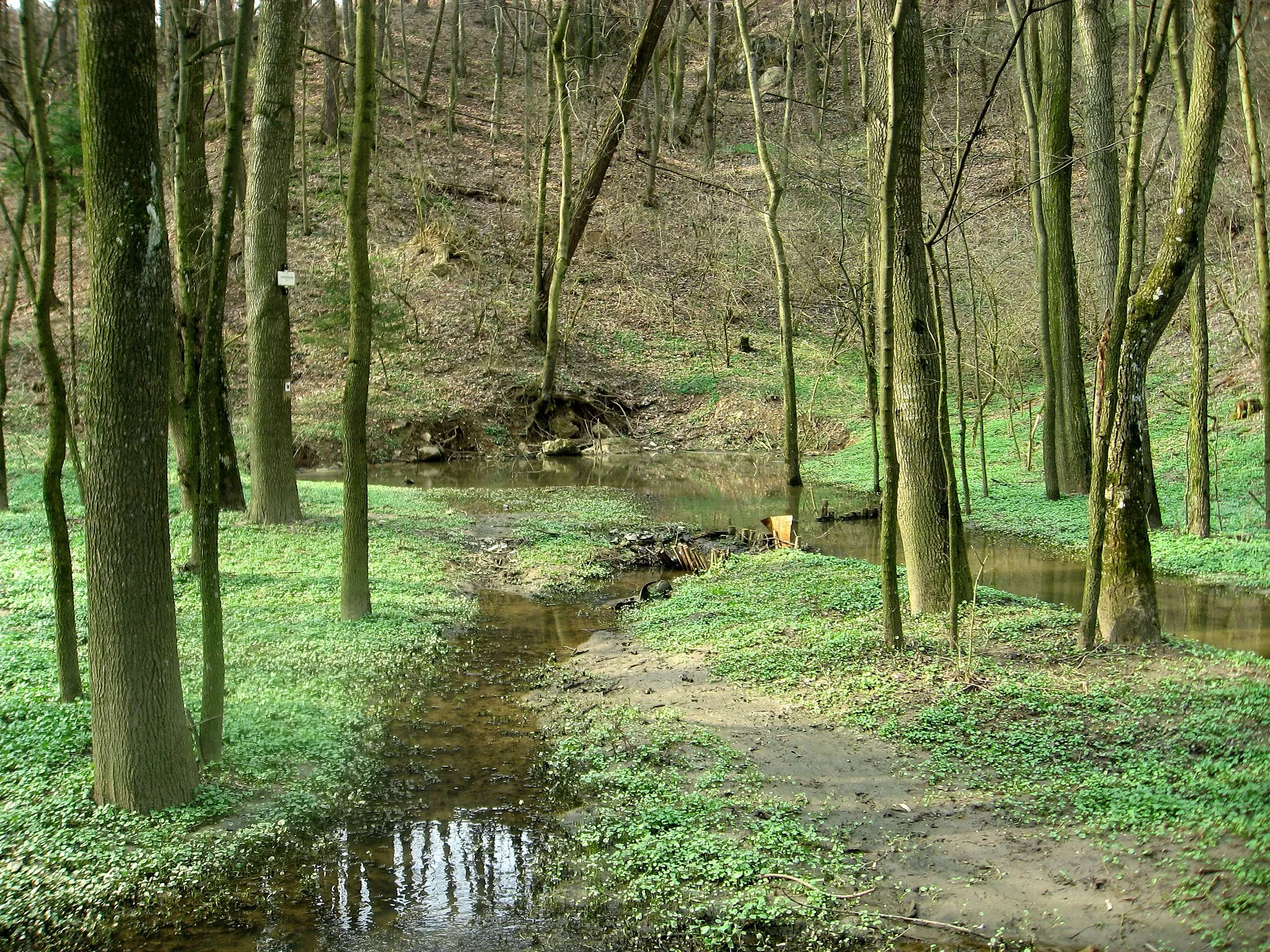 Photo showing: Hostěnické propadání