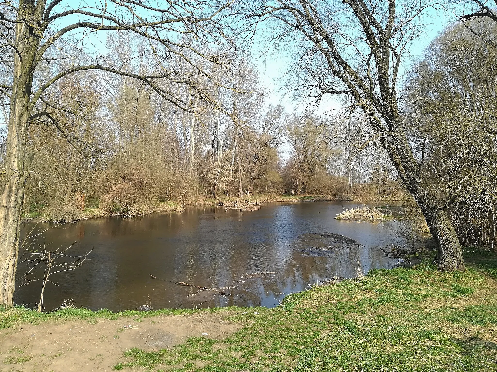 Photo showing: Cvrčovice (okres Brno-venkov) - řeka Jihlava