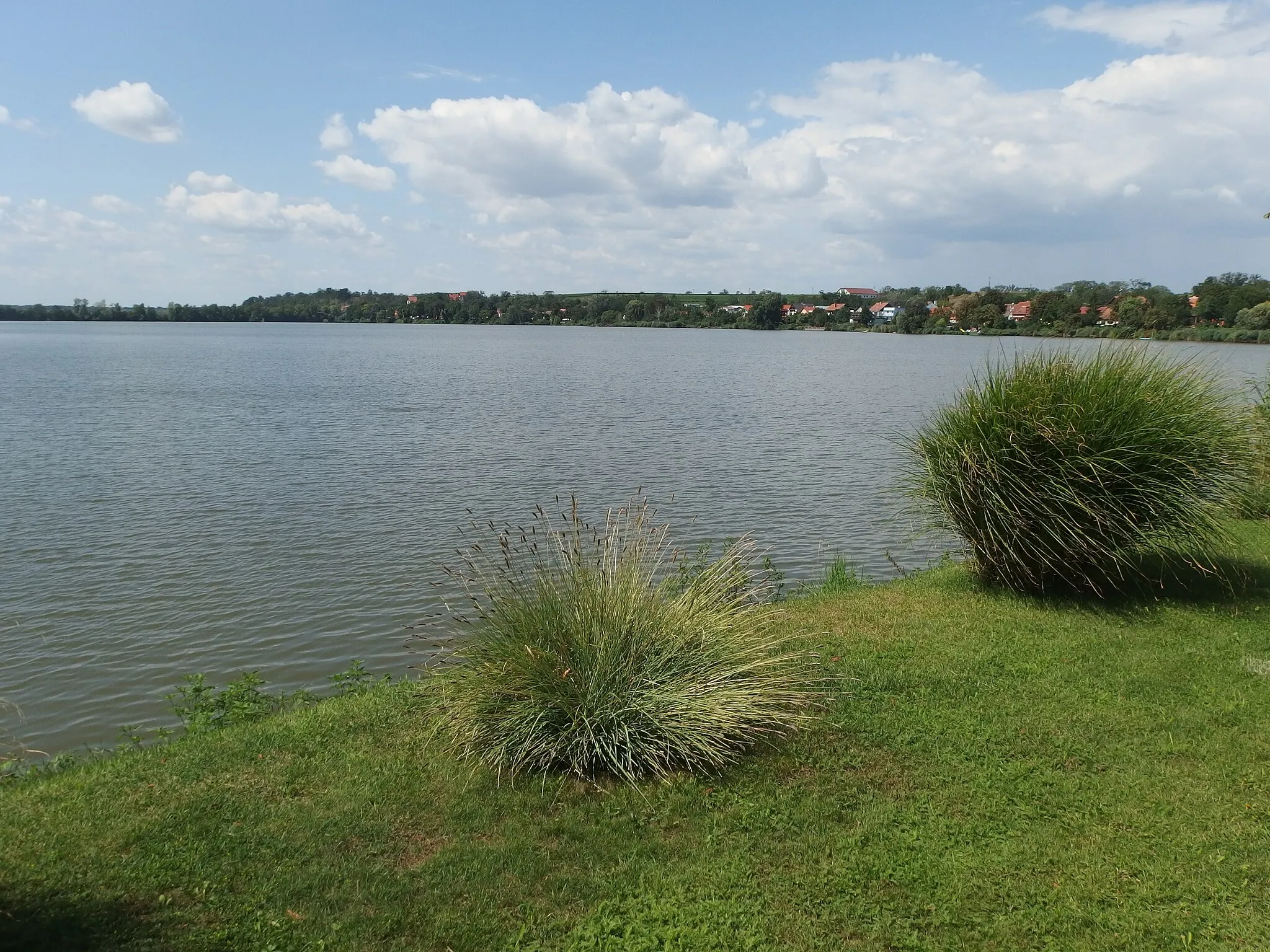 Photo showing: Strachotín, Břeclav District, Czechia.