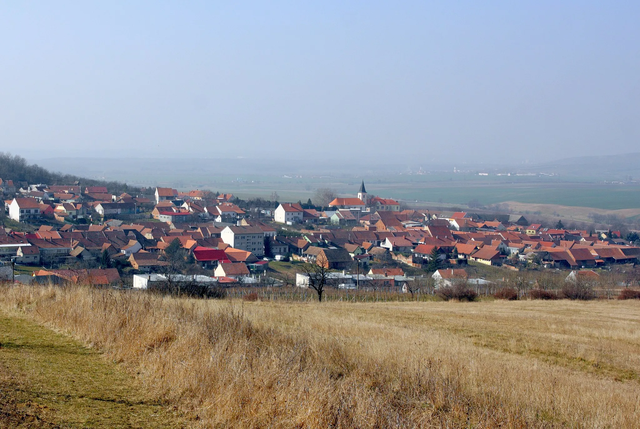 Photo showing: Křepice - pohled z Novosadů.