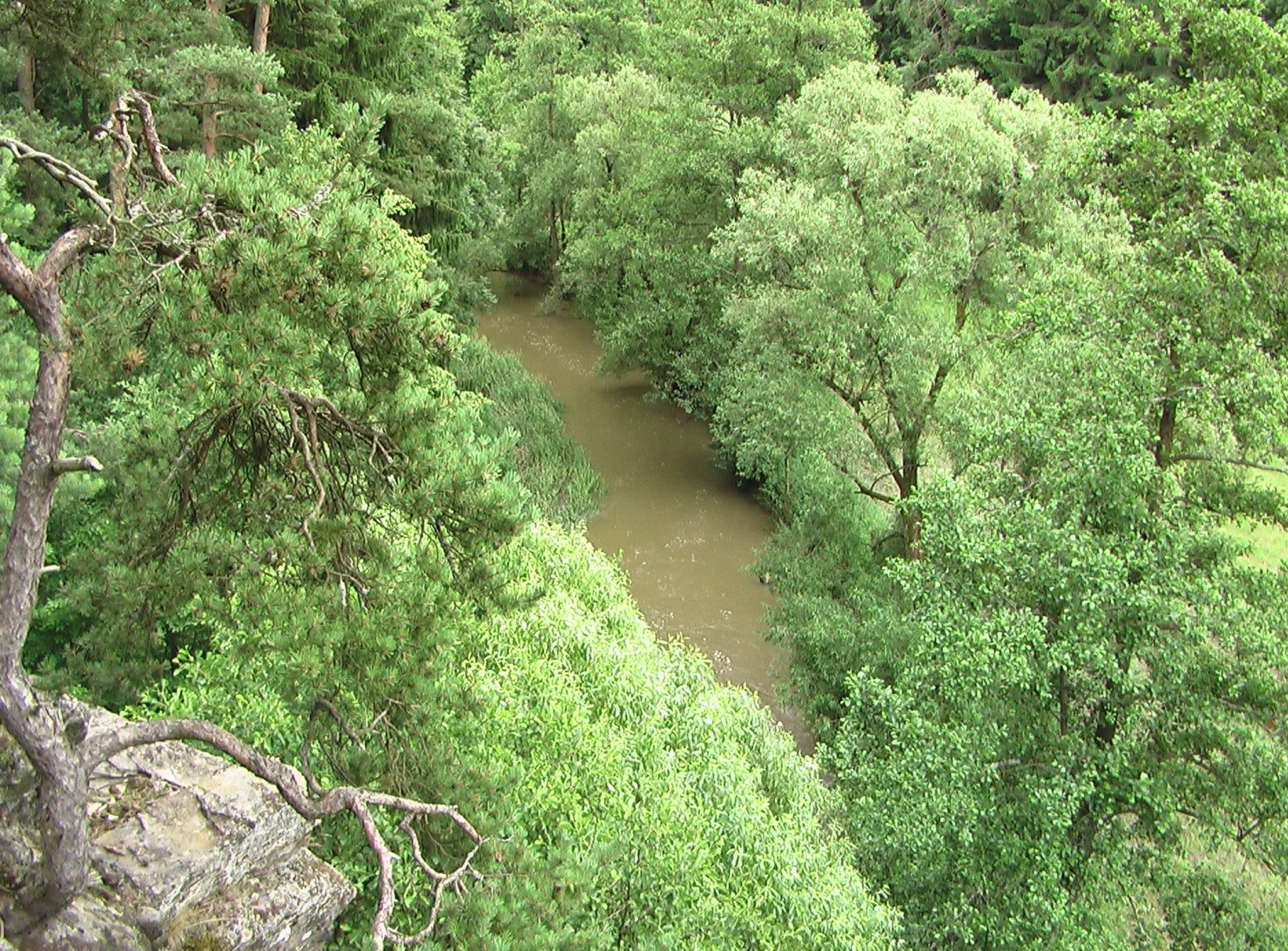Photo showing: The Želetavka River near Police, Moravia, Czech Republic