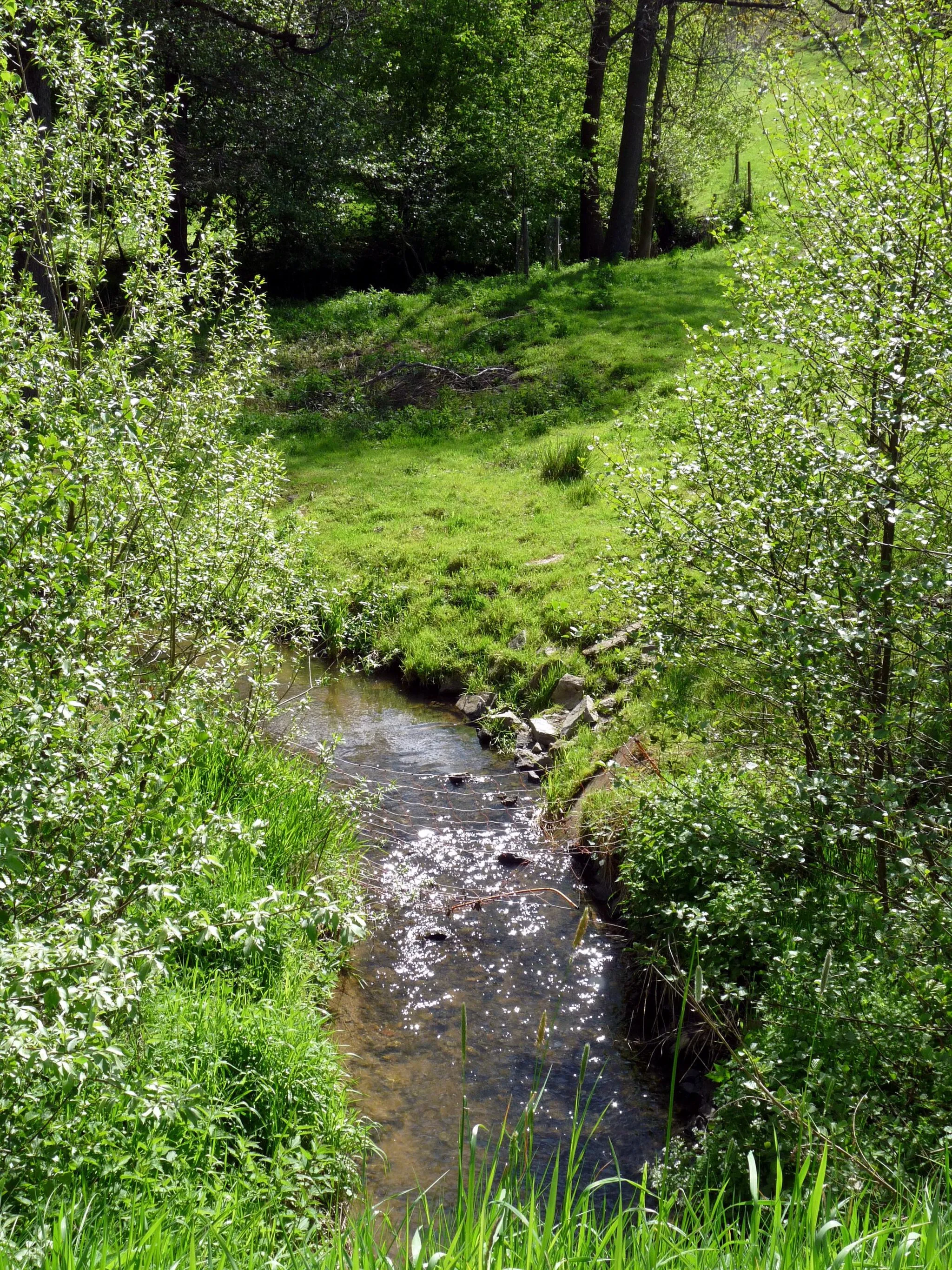 Photo showing: Stream in the village of Železné Horky, Havlíčkův Brod District, Vysočina Region, Czech Republic.