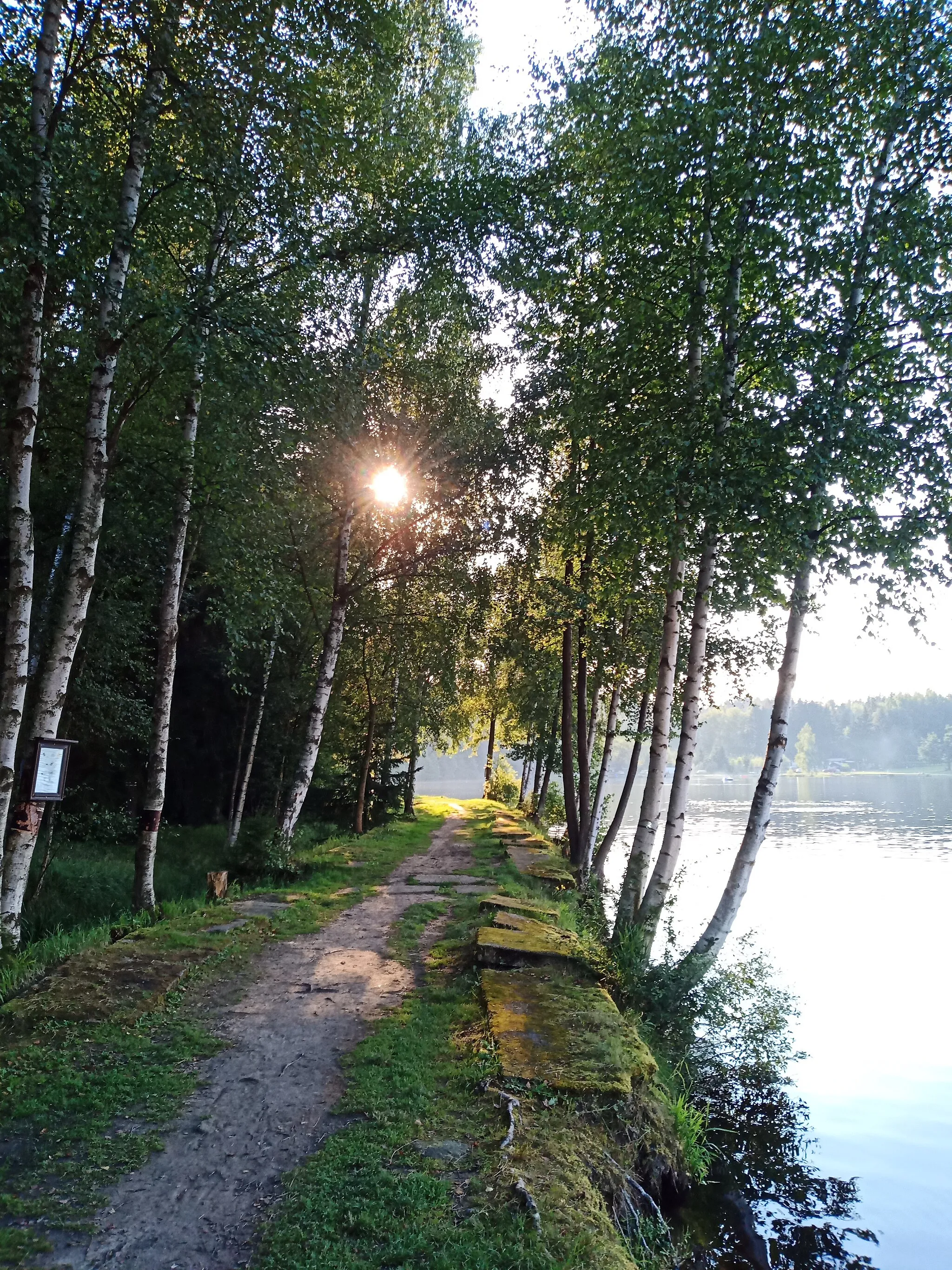 Photo showing: Milovy Pond in Vysočina Region, CZ
