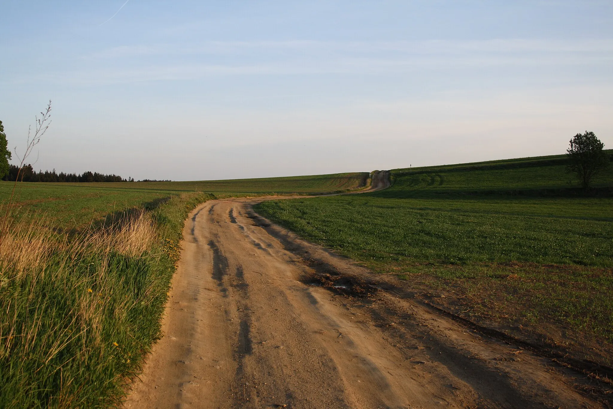 Photo showing: Education trail Špičák, 4th stop, near Třešť, Czech Republic.