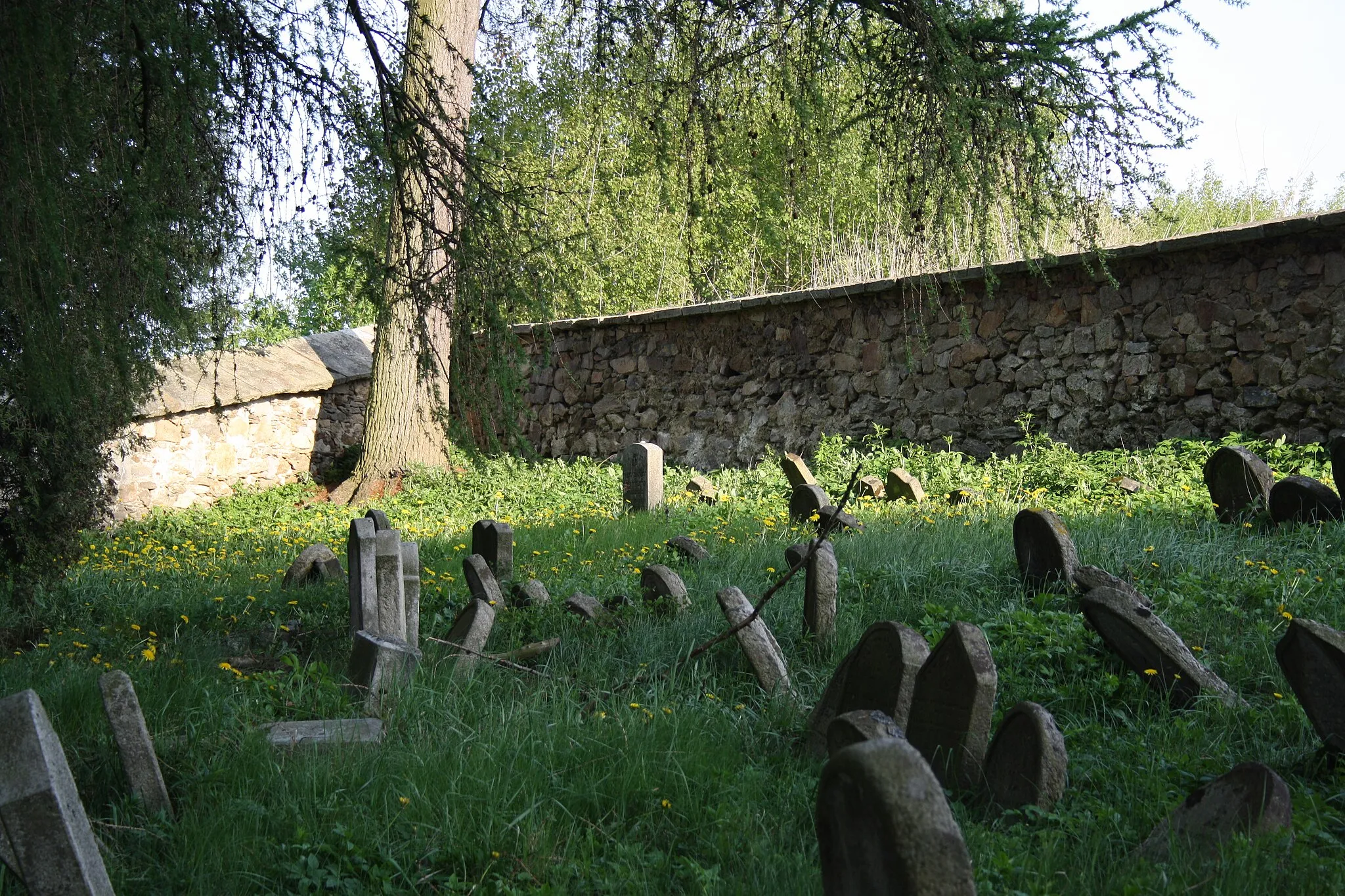 Photo showing: Little graves of Jewish cemetery in Třešť, Czech Republic.