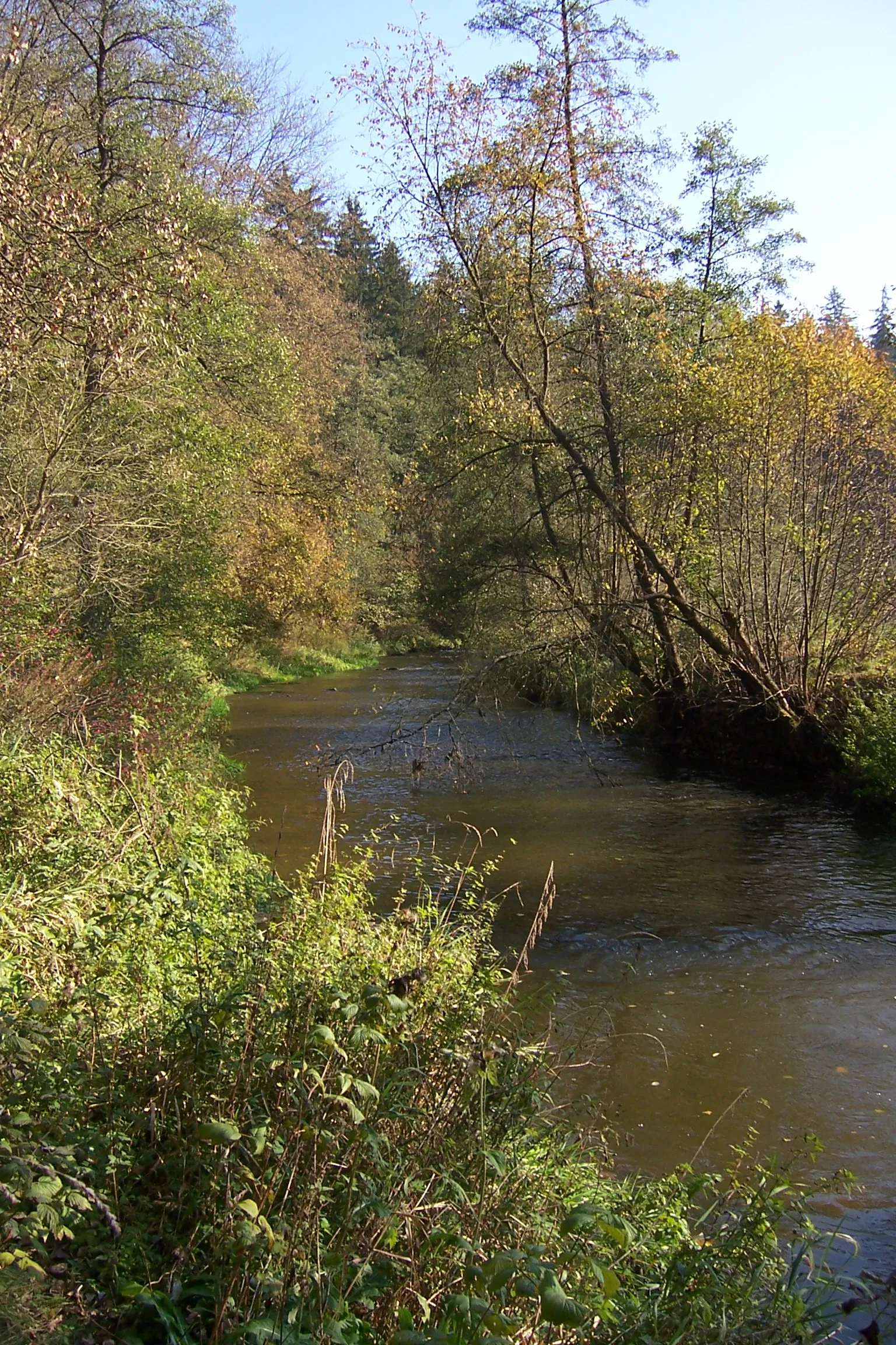 Photo showing: Nature reserve Zaječí skok in Jihlava District, Czech Republic