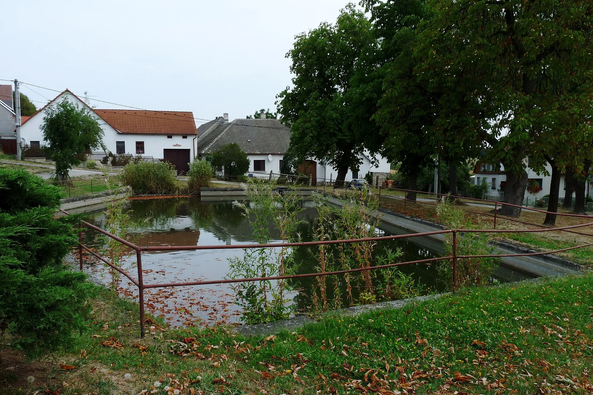 Photo showing: Pond in the village of Buková, Jihlava District, Vysočina Region, Czech Republic.