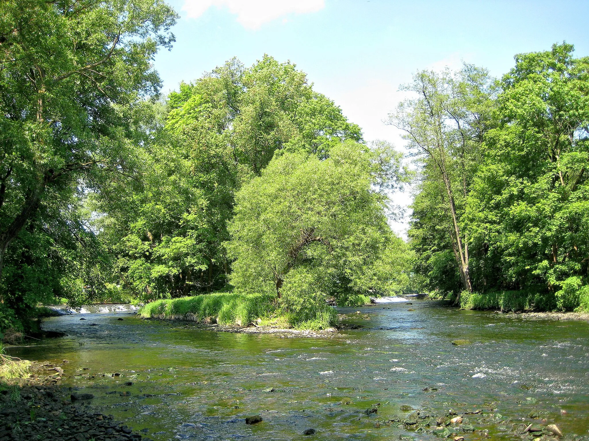 Photo showing: Thaya, Thayatal National Park