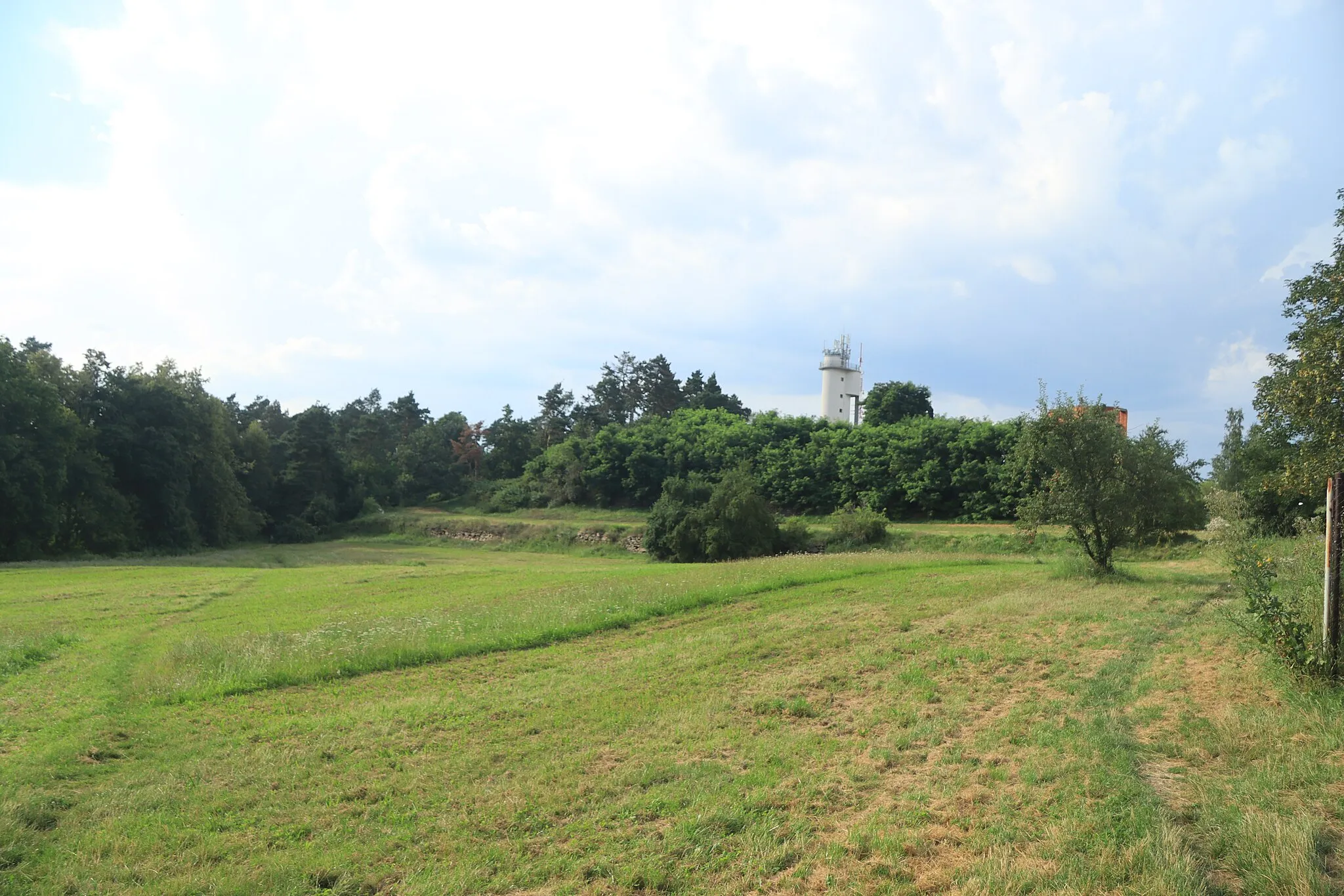 Photo showing: Overview of meadow near Strážná hora in Třebíč, Třebíč District.