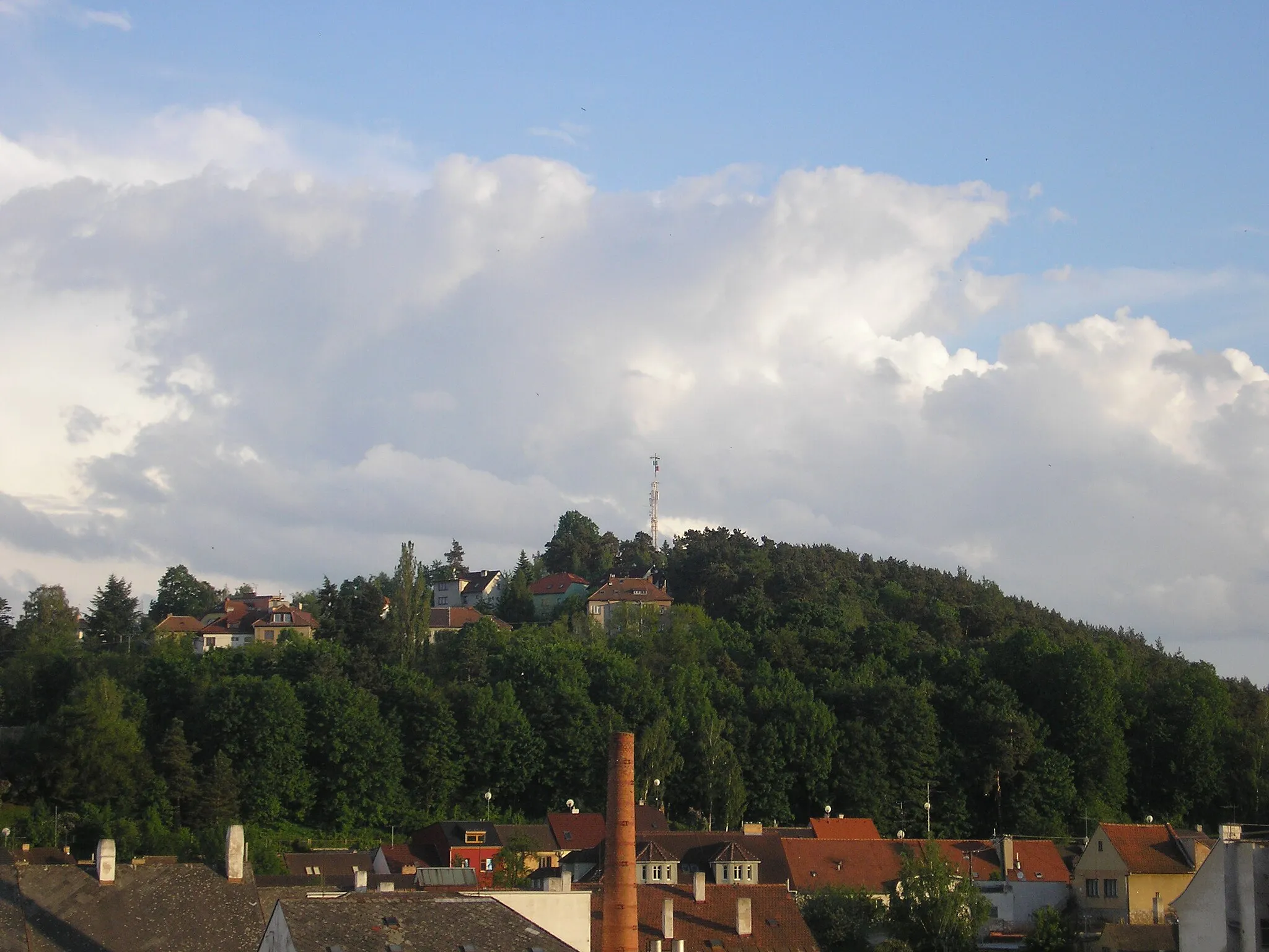 Photo showing: Strážná hora (Patrol hill) form garden near castle in Třebíč