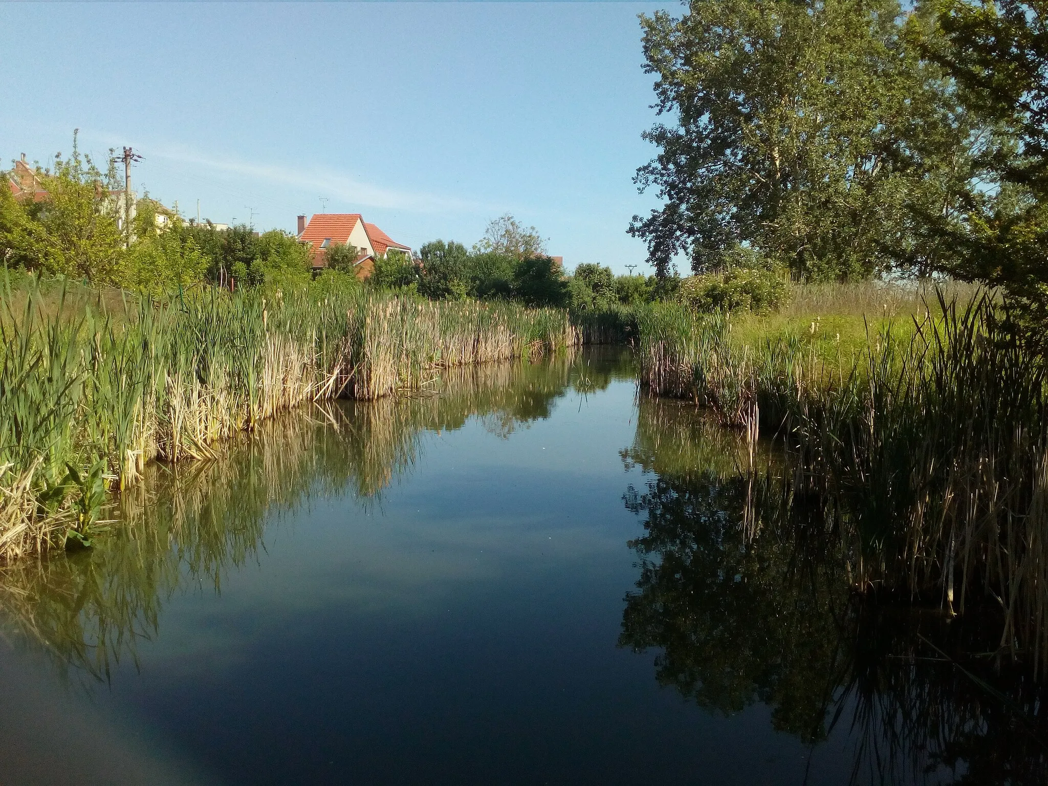 Photo showing: Potok Včelínek u Charvátské Nové Vsi