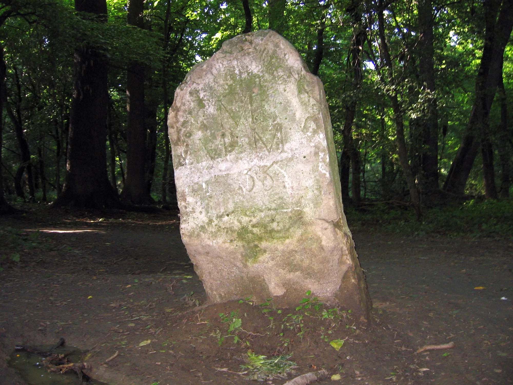 Photo showing: Soutok Moravy a Dyje - historický hraniční kámen z roku 1755 severozápadně od soutoku.