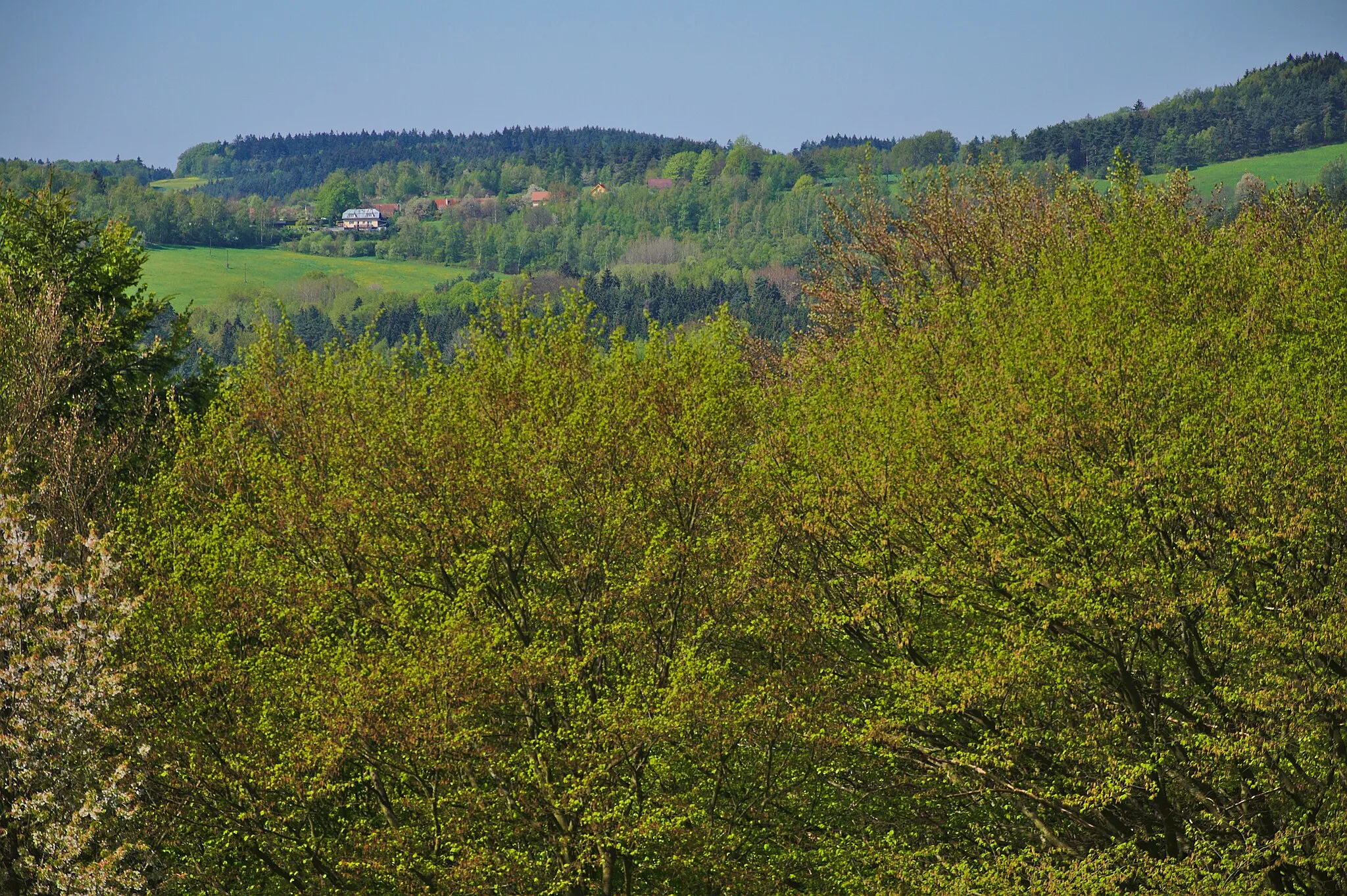 Photo showing: Kovářová z Kopicova vrchu, Ujčov, okres Žďár nad Sázavou