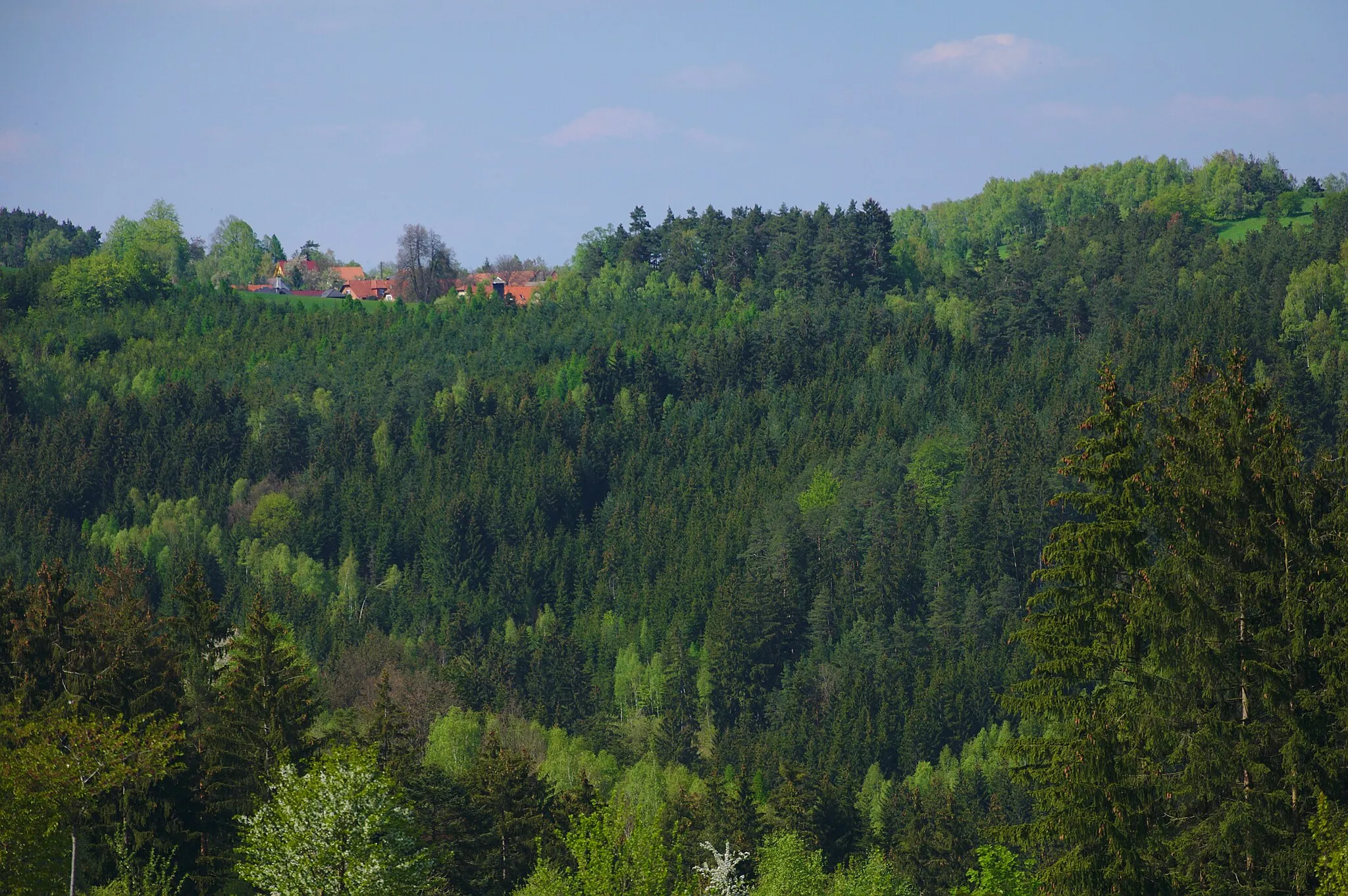 Photo showing: Pohled na vesnici od jihu, Kovářová, Ujčov, okres Žďár nad Sázavou