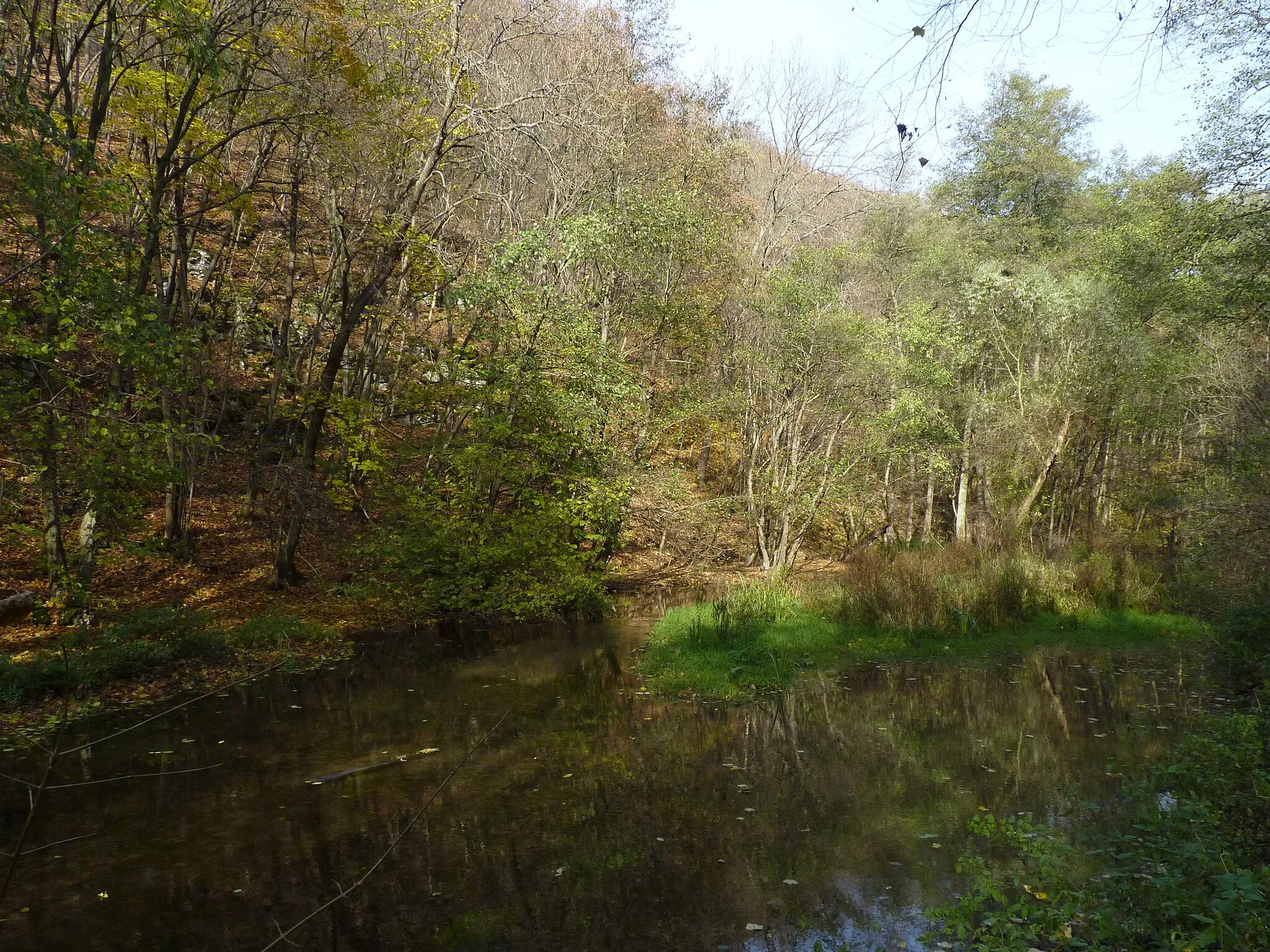 Photo showing: Nature reserve Velký Hornek, Brno-Country District, South Moravian Region, Czech Republic