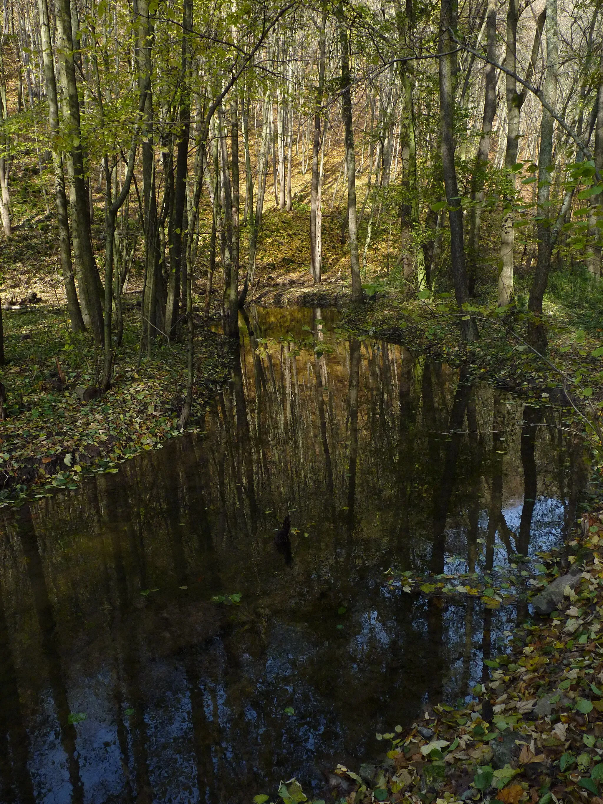 Photo showing: Nature reserve Velký Hornek, Brno-Country District, South Moravian Region, Czech Republic